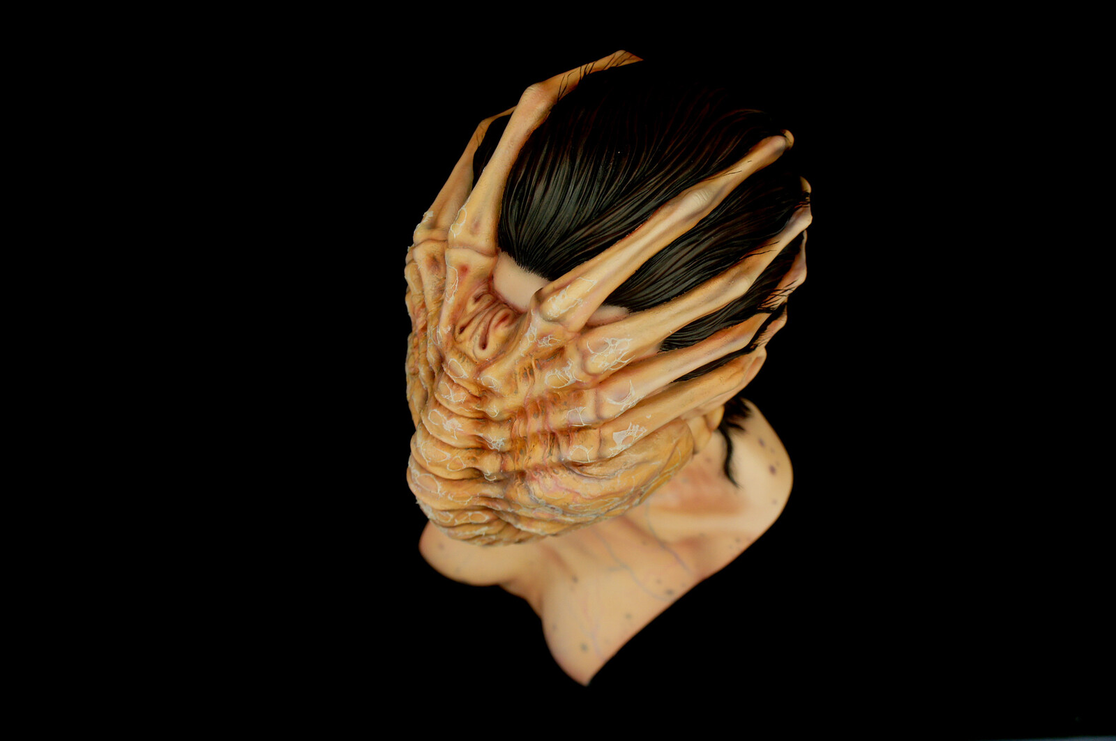Alien Facehugger The Colonist 1:1 scale Bust Art Statue