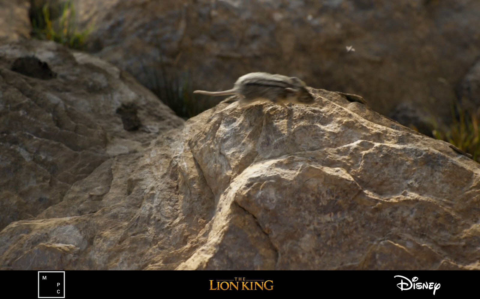 One of my favourite rocks in the film
