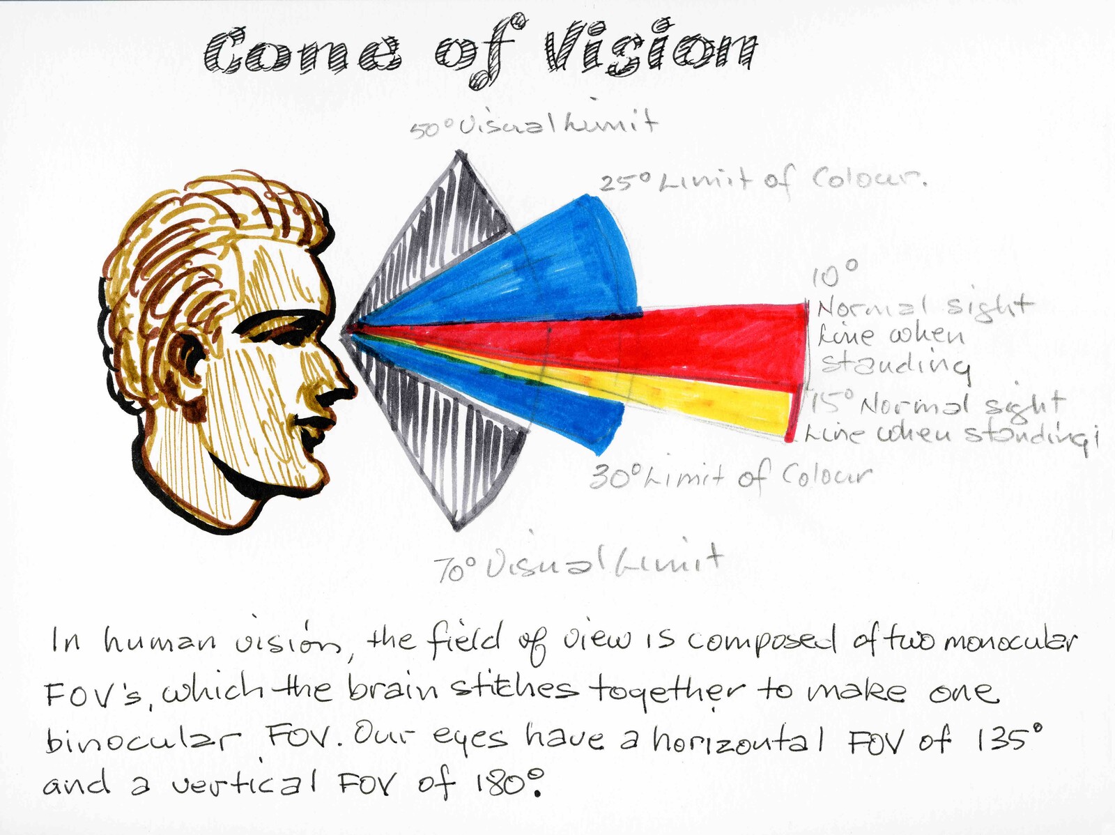 Cone of Vision