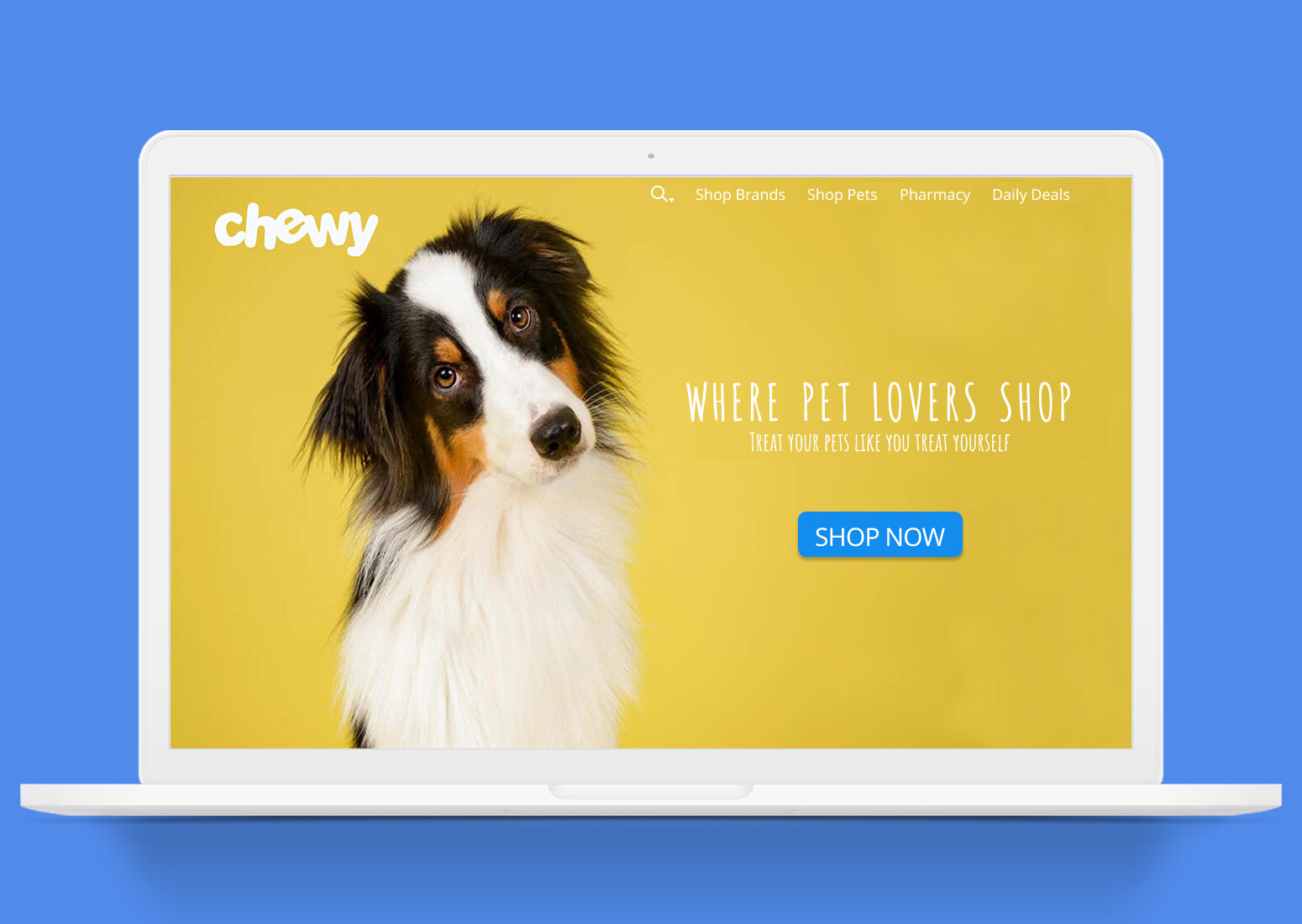 chewy website
