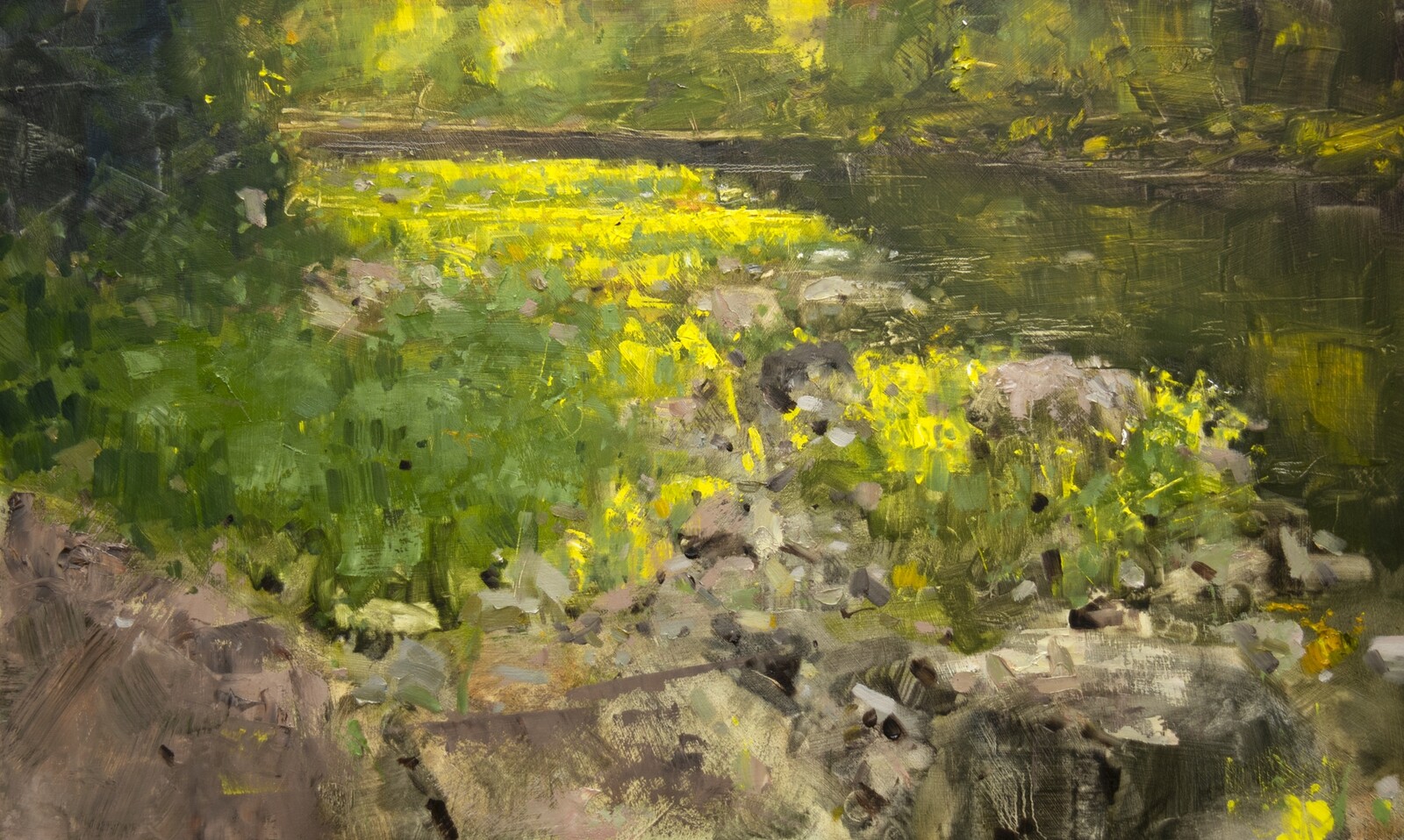Rocks by the creek