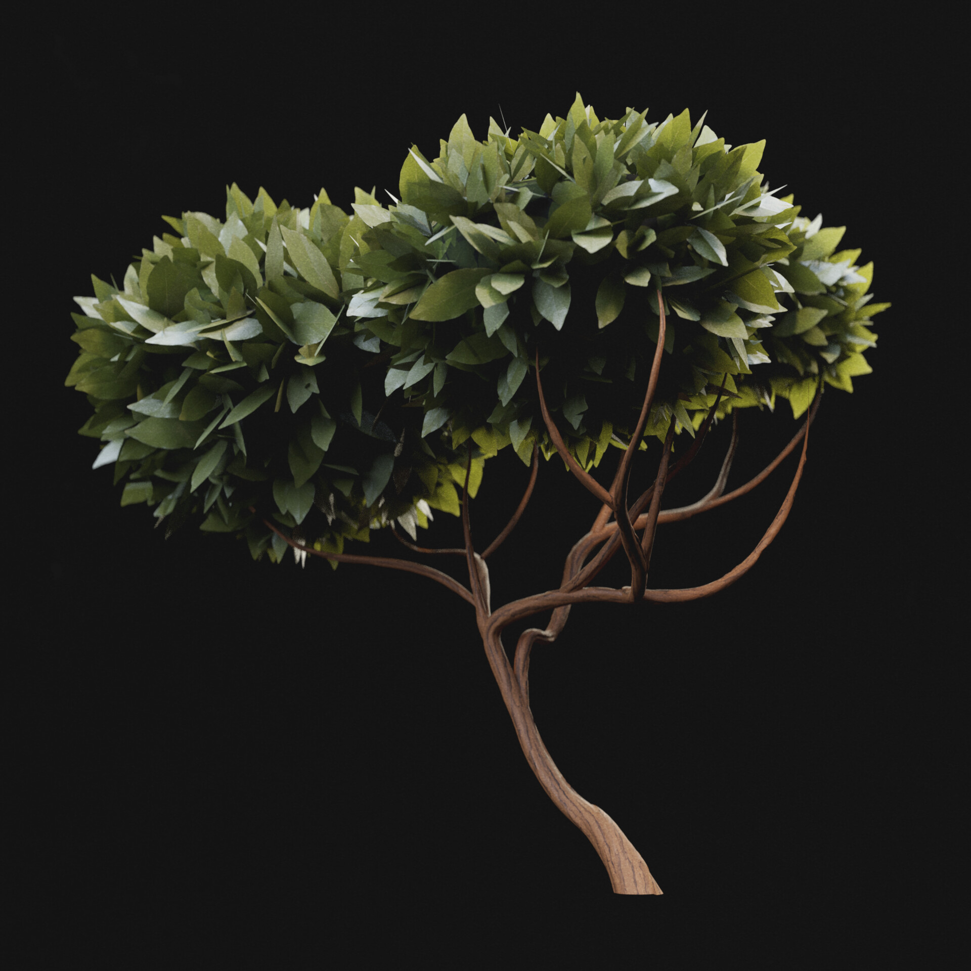 ArtStation - Stylized Tree