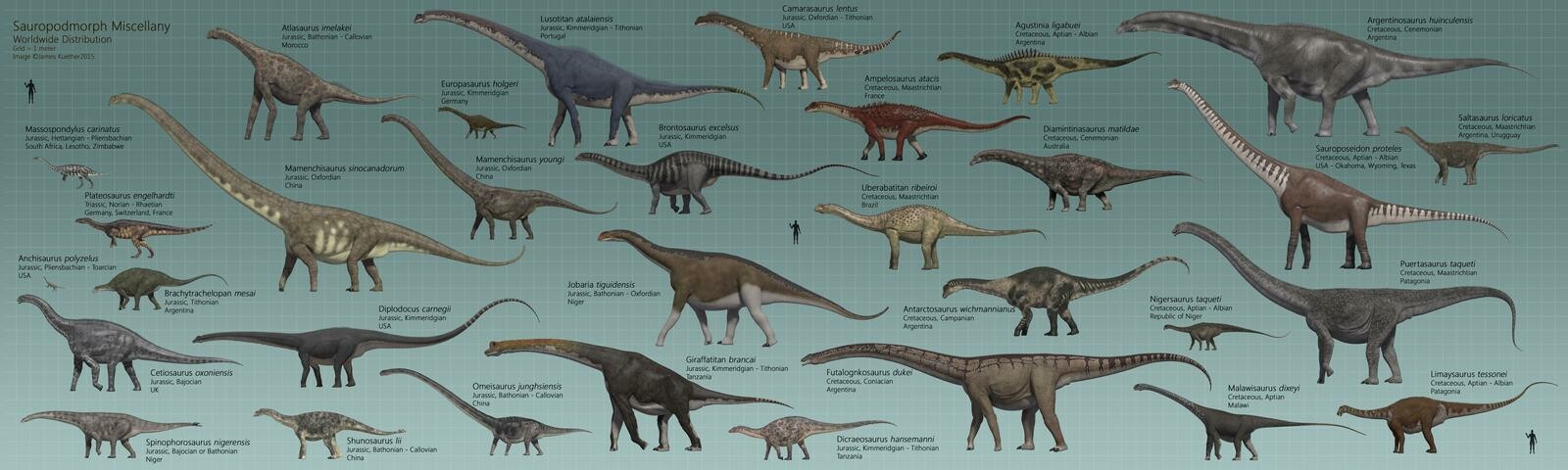 james kuether - Comparative Charts of Dinosaurs and other Prehistoric ...