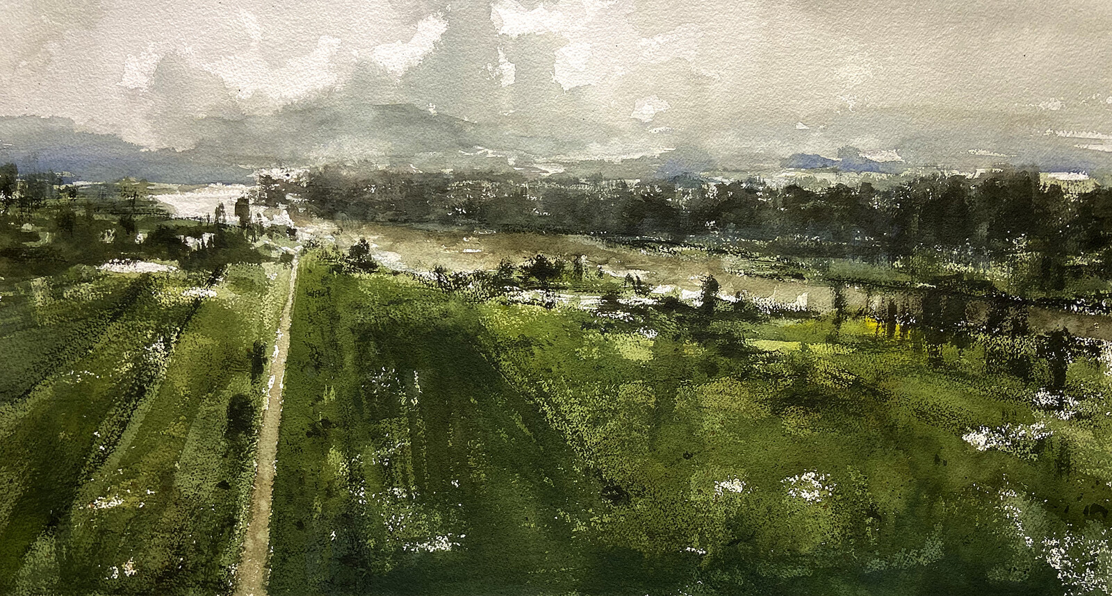 Damp Day