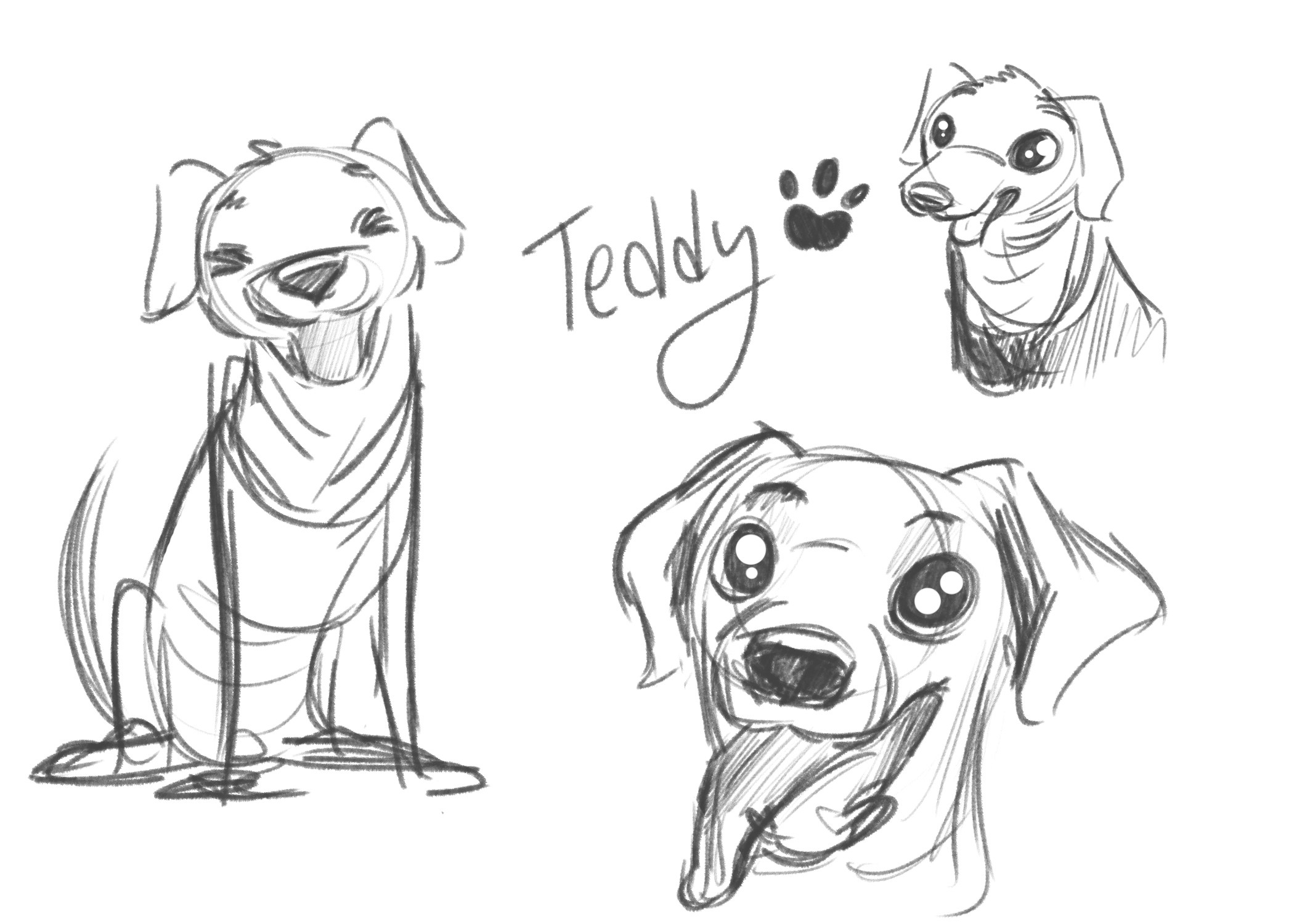 Character sketch from a character design course, based off of my own pup, Teddy :)