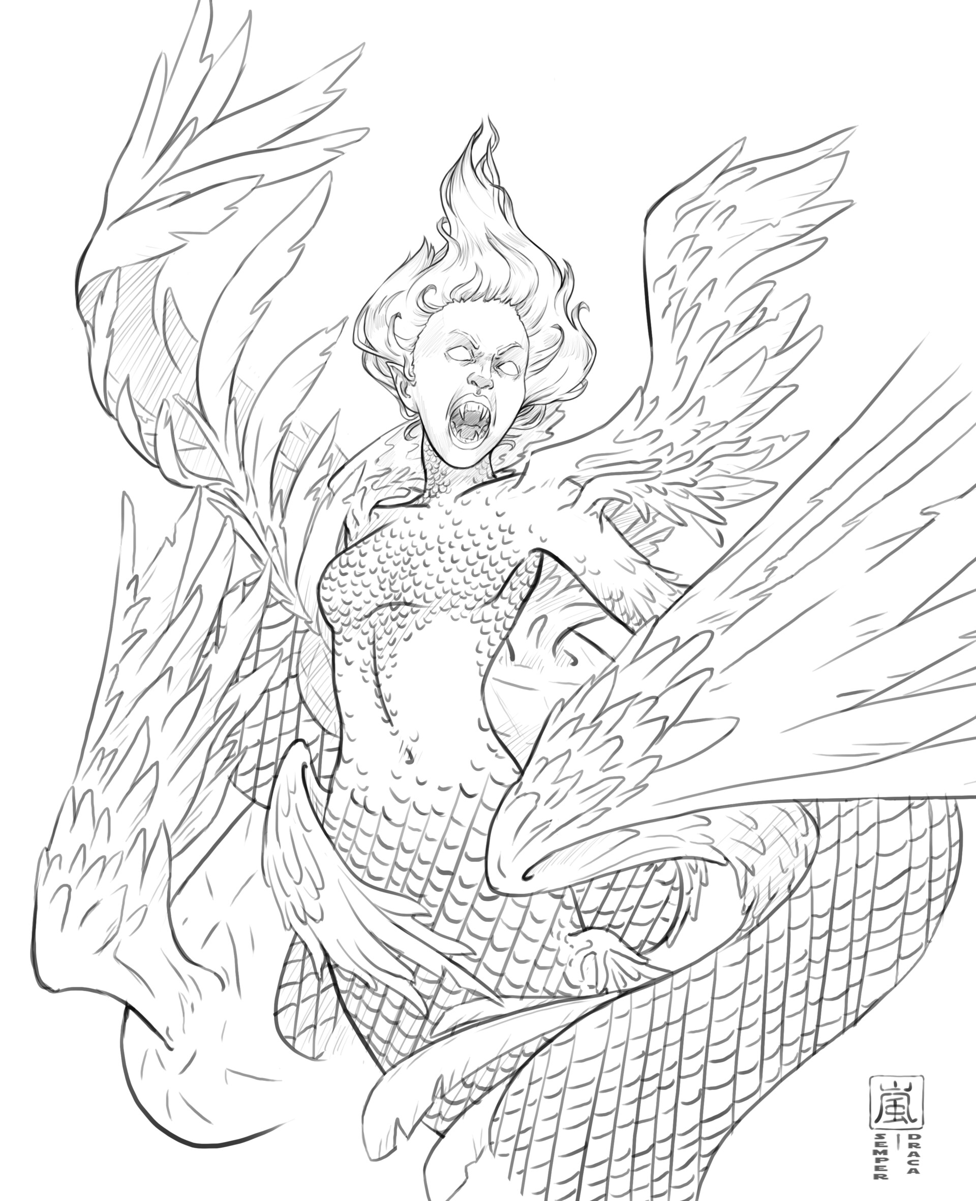 Semper Draca Snake Bird Lineart,Drywall Tools Home Depot Canada