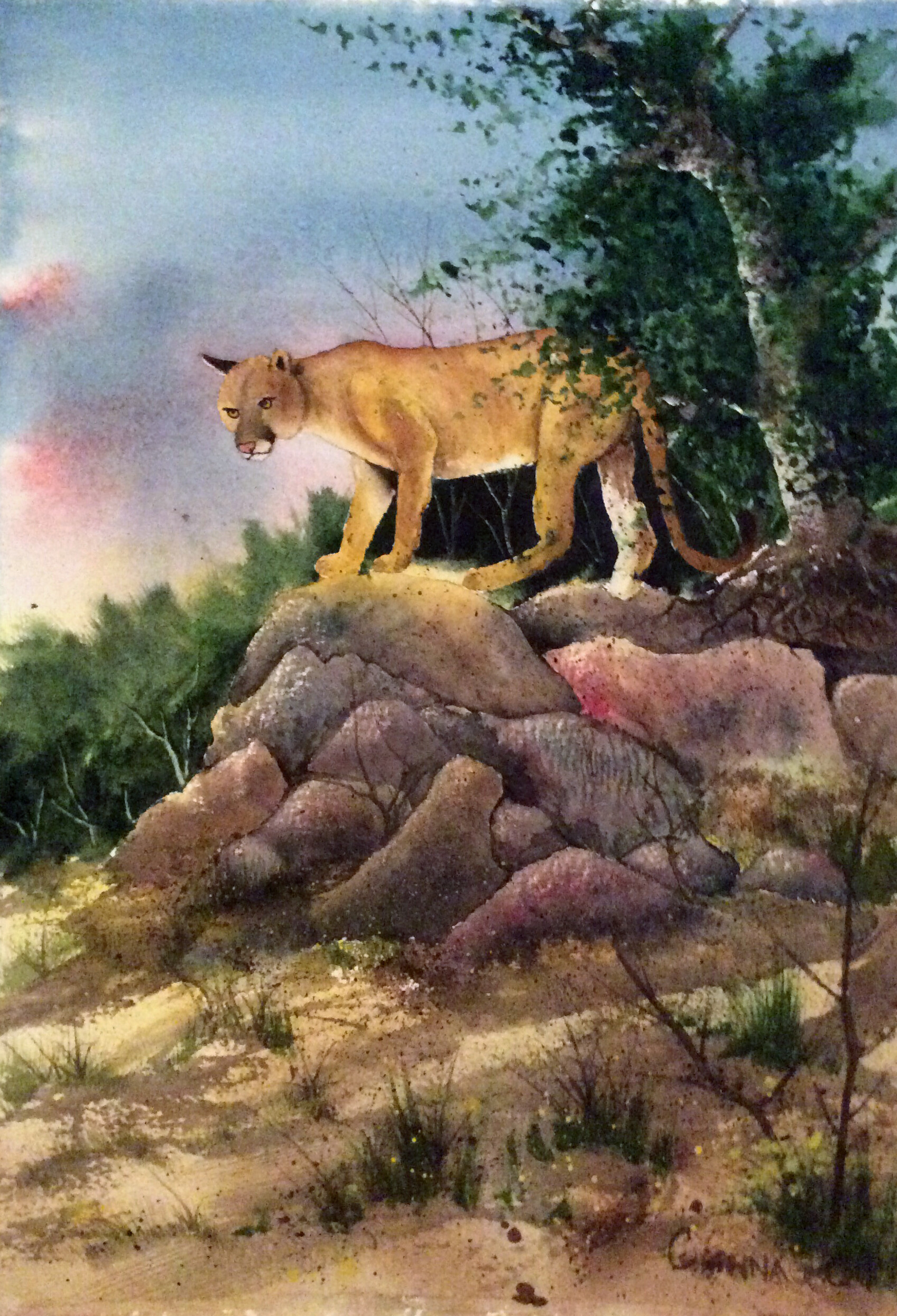 ArtStation - Mountain Lion