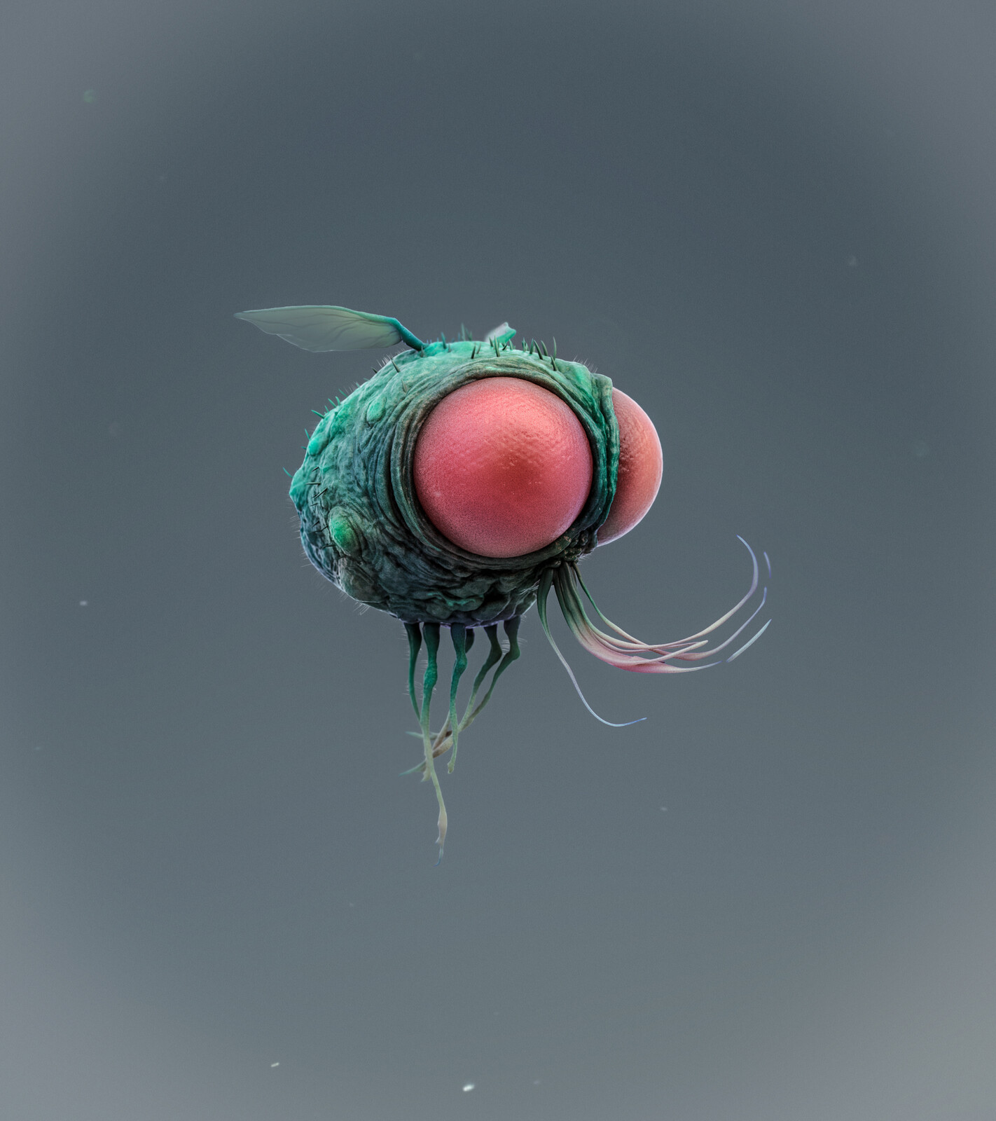 DirtyFly