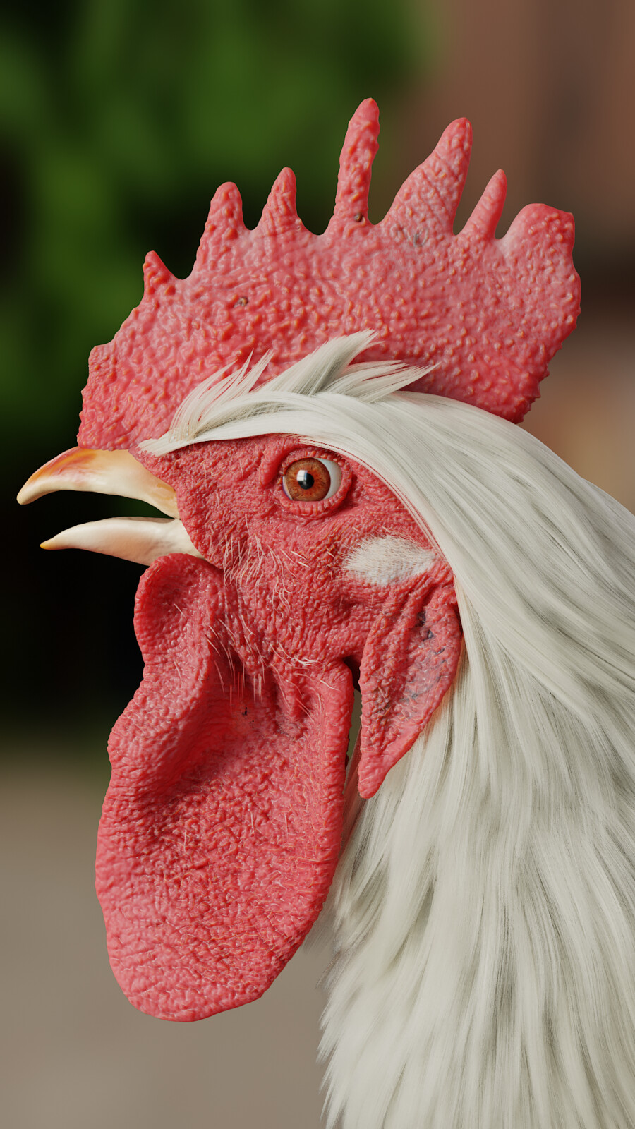 Rooster 
