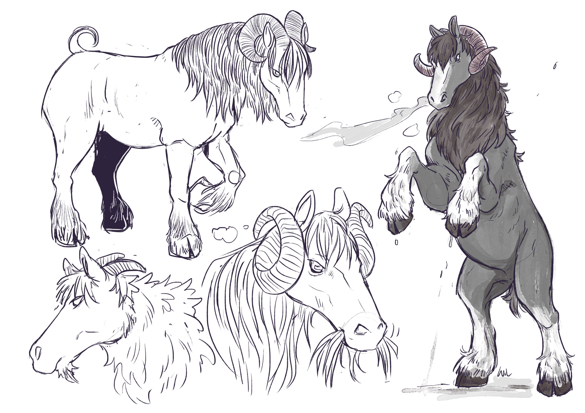 My newly born Belgian draft horse Lore : r/Horses, image size:1920x1357