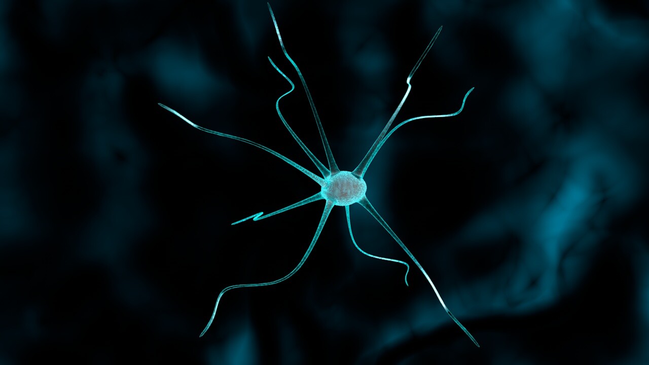 Artstation Nerve Cell 3d Model Reid Duncan