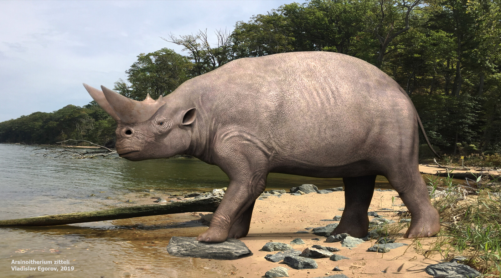safari ltd arsinoitherium
