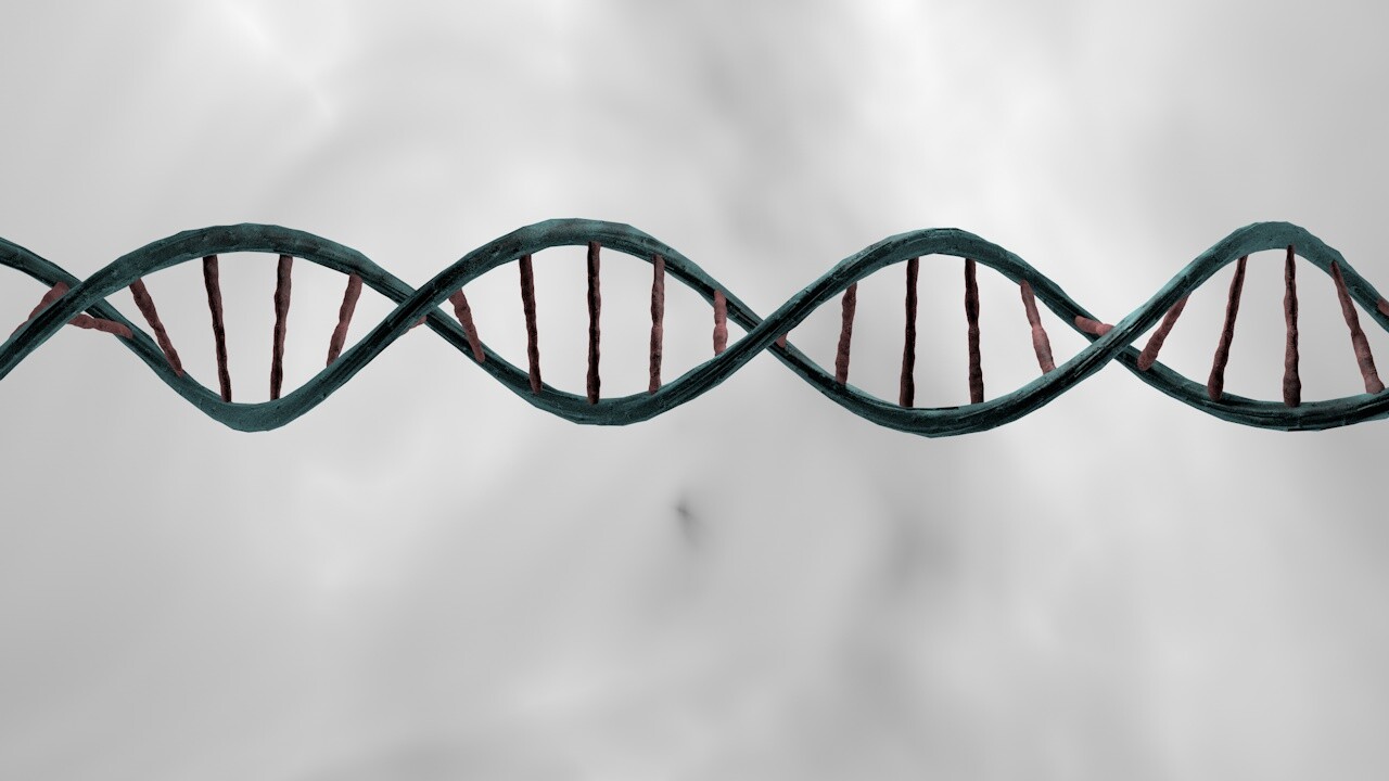 Artstation Dna Double Helix 3d Model Reid Duncan