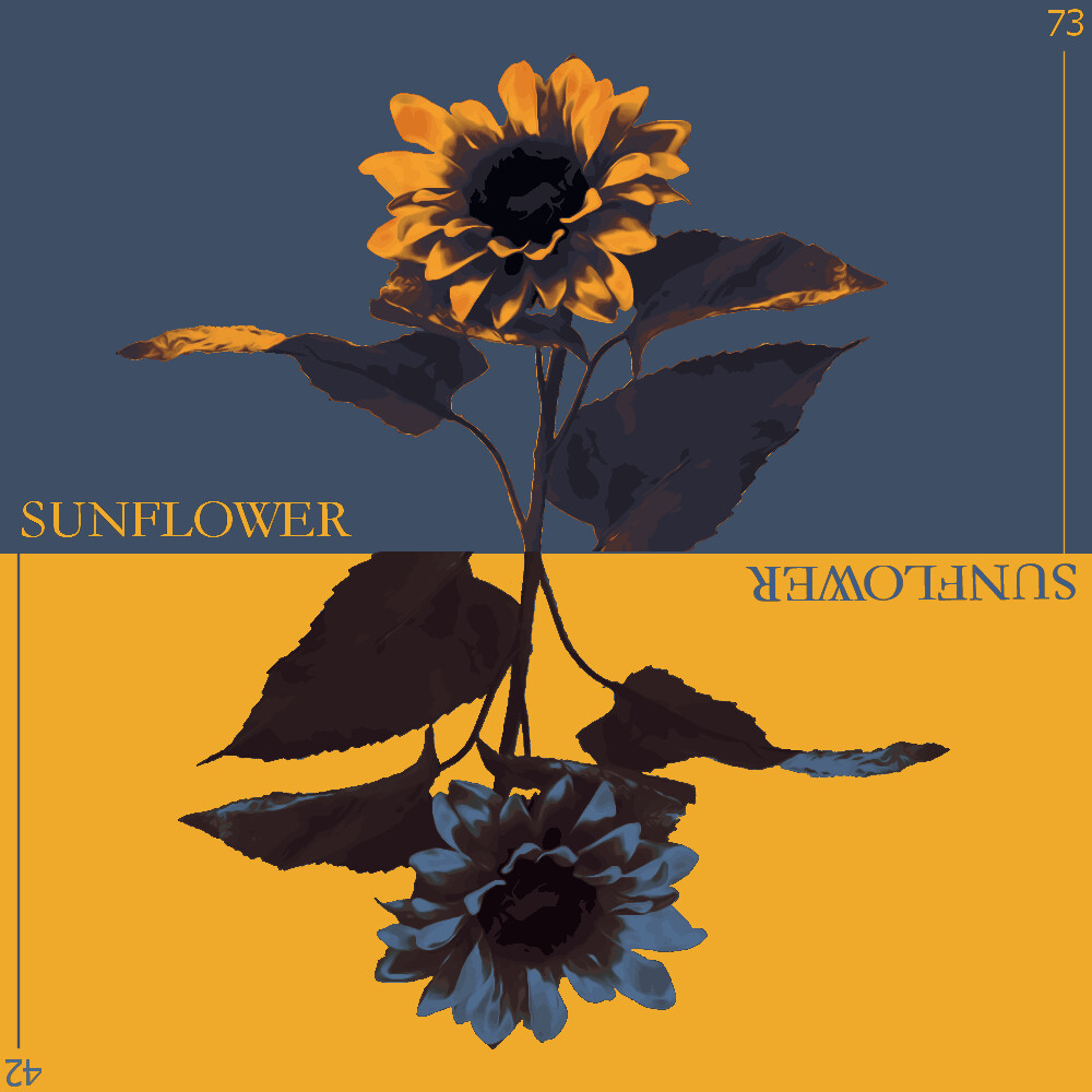 Artstation Sunflower Album Design Jacob Swedlund