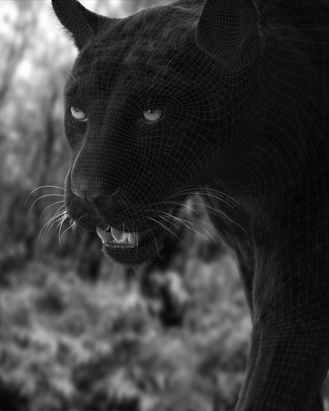 Artstation Black Jaguar