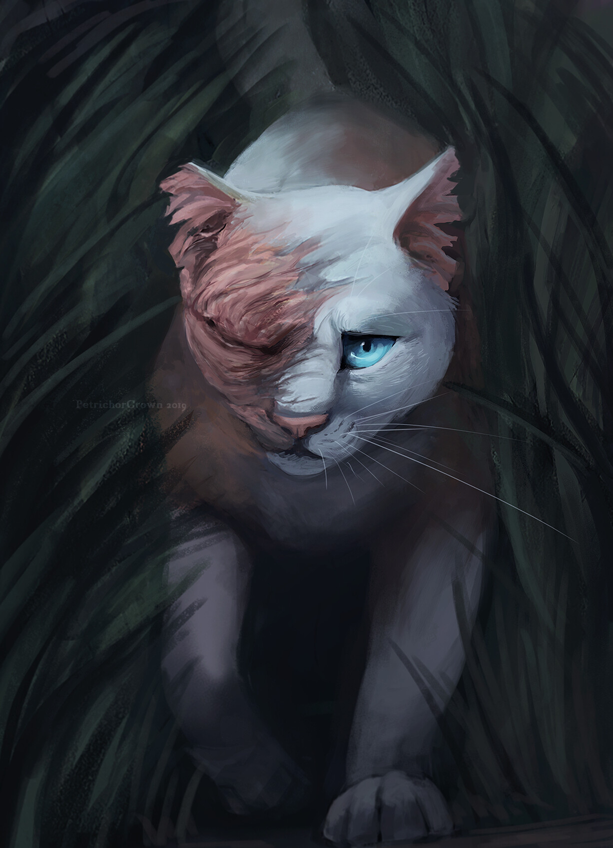 Artstation Brightheart Jack Stroud
