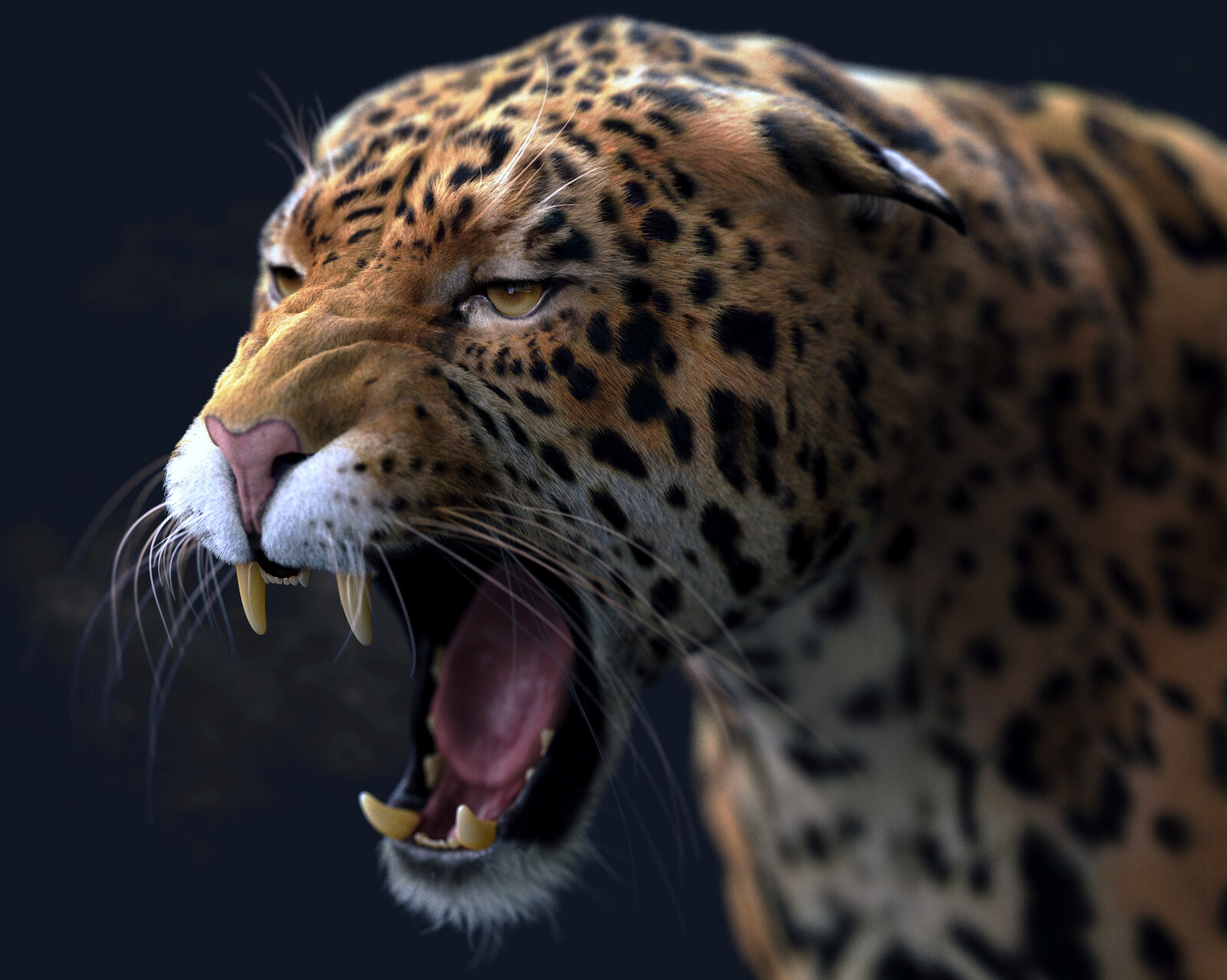 Jaguar grin