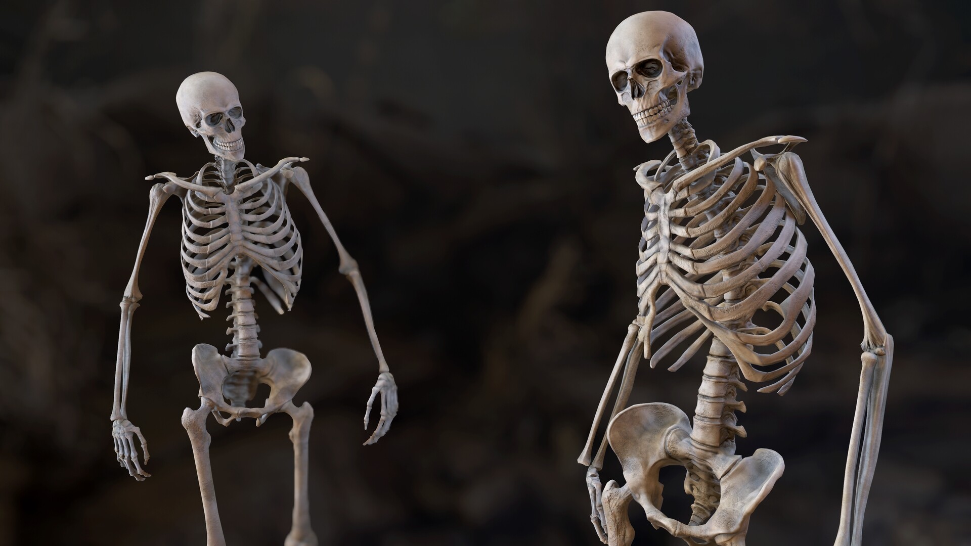 Страдающий скелет. Скелет. Человеческий скелет. Скиллет. Человеческие кости.