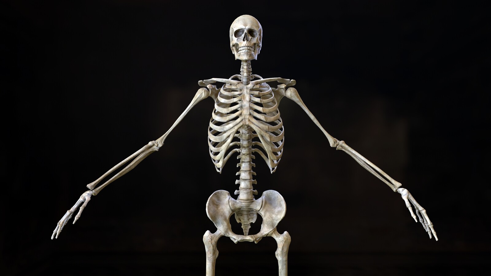Скелеты