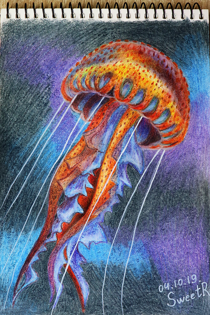 Vibrant Jellyfish Nautical Fish Pencil Colour Ocean Man of War - Etsy