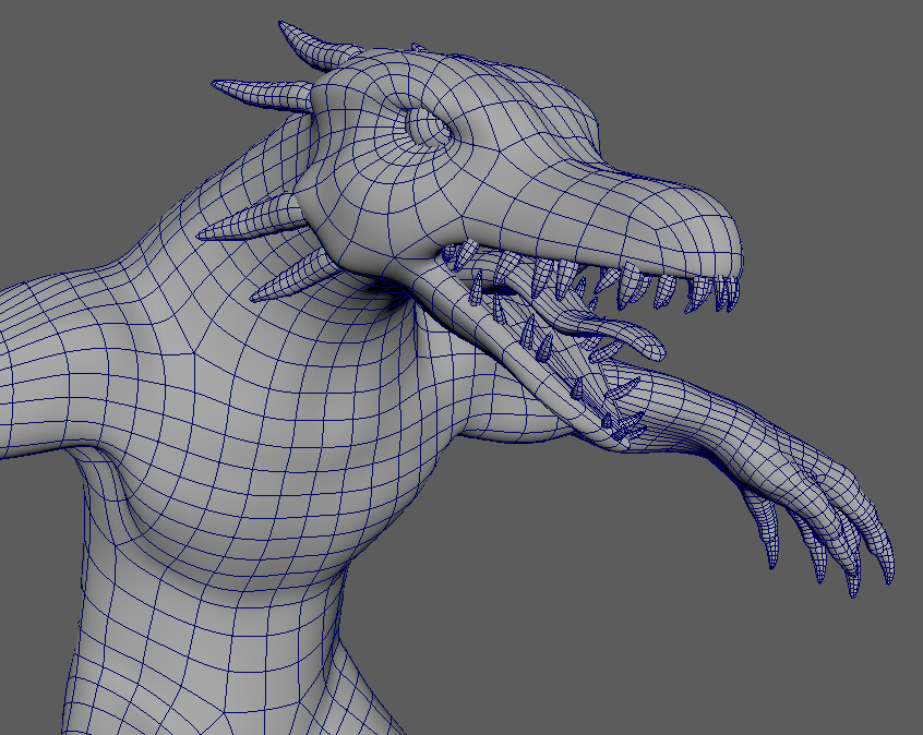 Gaelle Barbier Topology Of Lizard