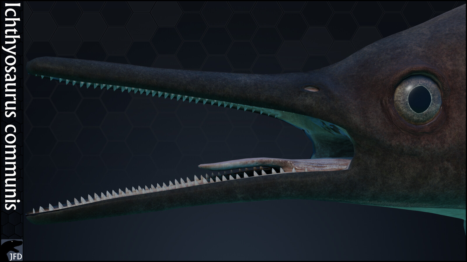 Ichthyosaurus communis head render.