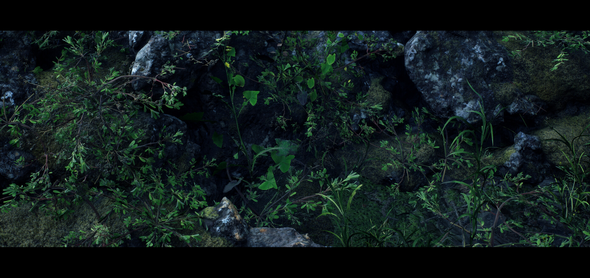 Forest grounded. Forest ground. dream forest ground interaction.