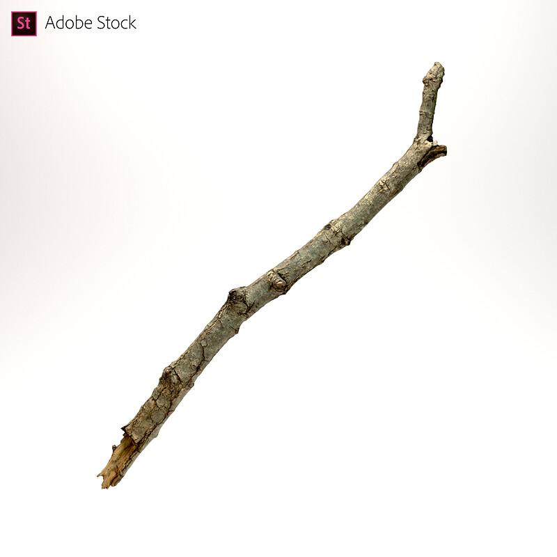 Adobe Stock | Wooden Stick