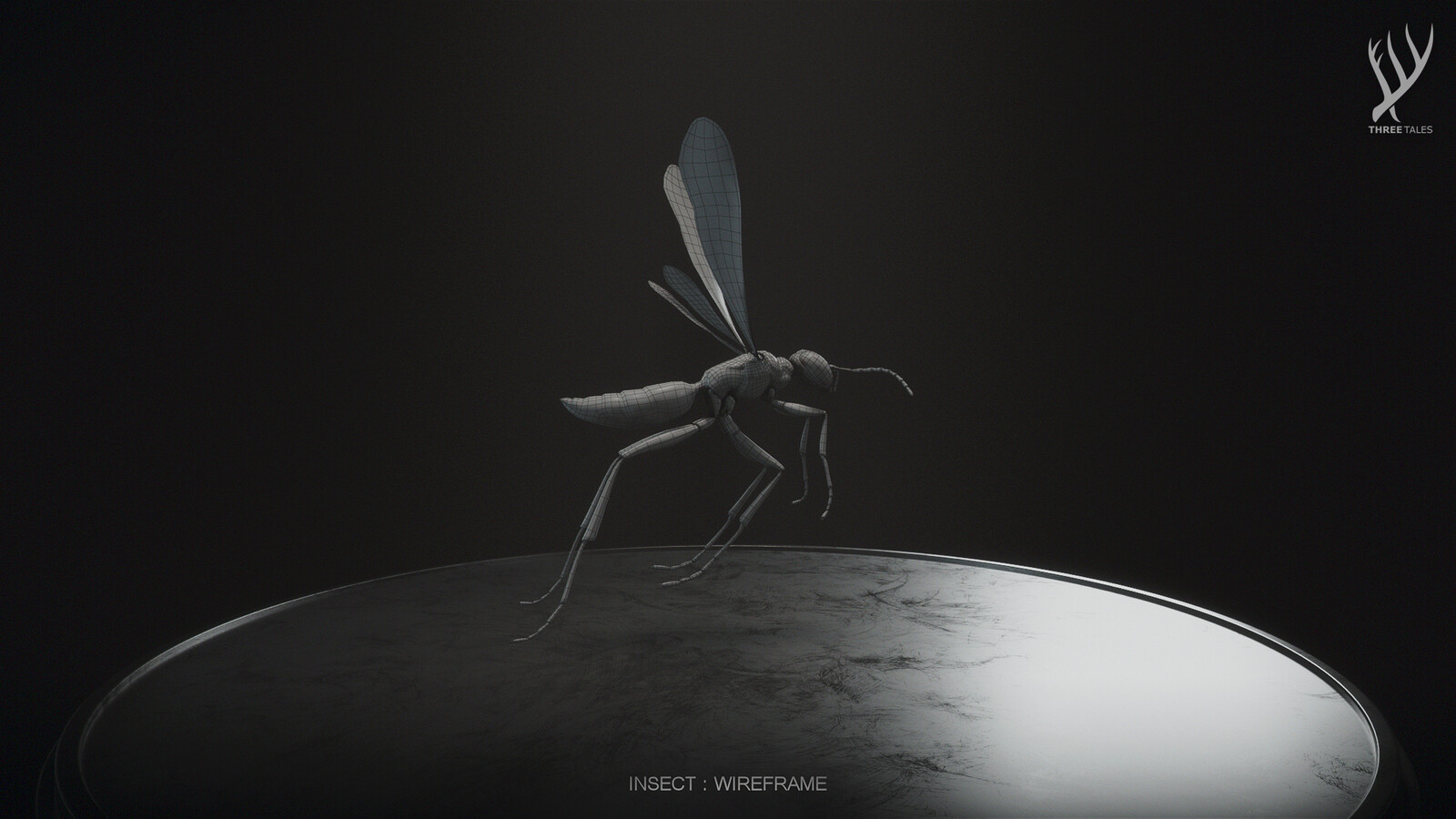INSECT : WIREFRAME