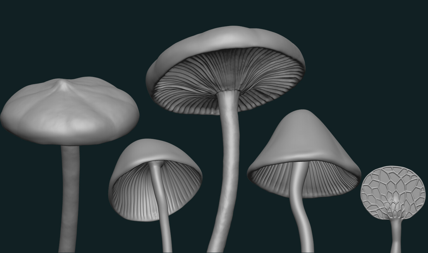 4k MushRoom Landscape premade Wallpaper 002 by AiWitchCrafts on DeviantArt