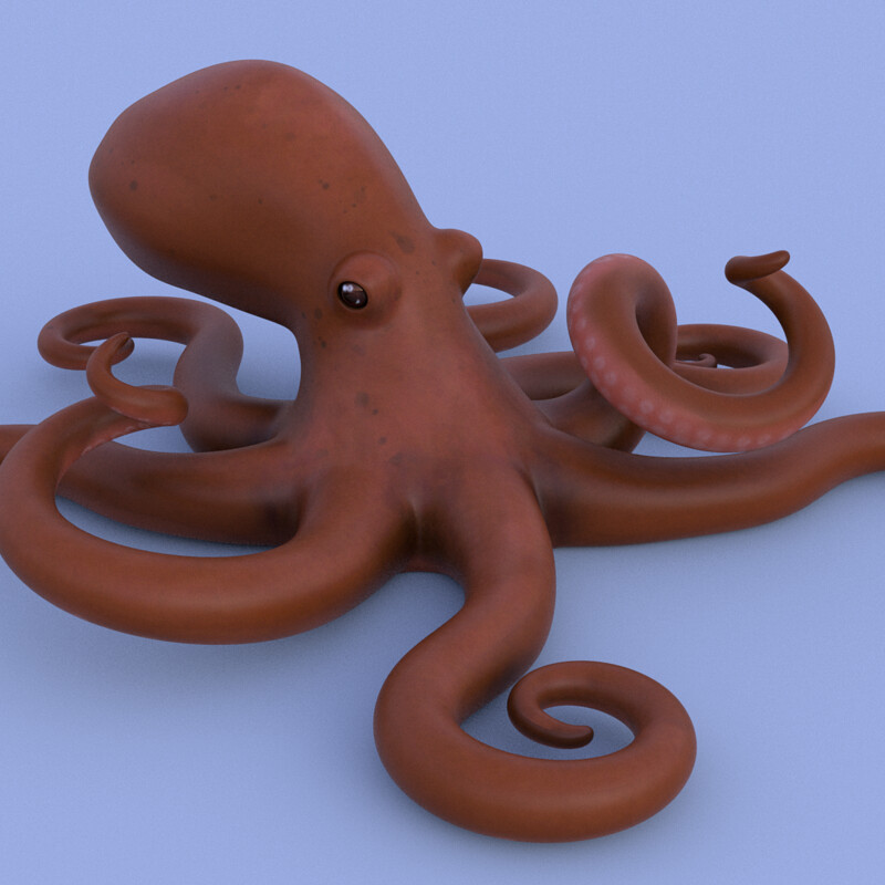 Octopus Model