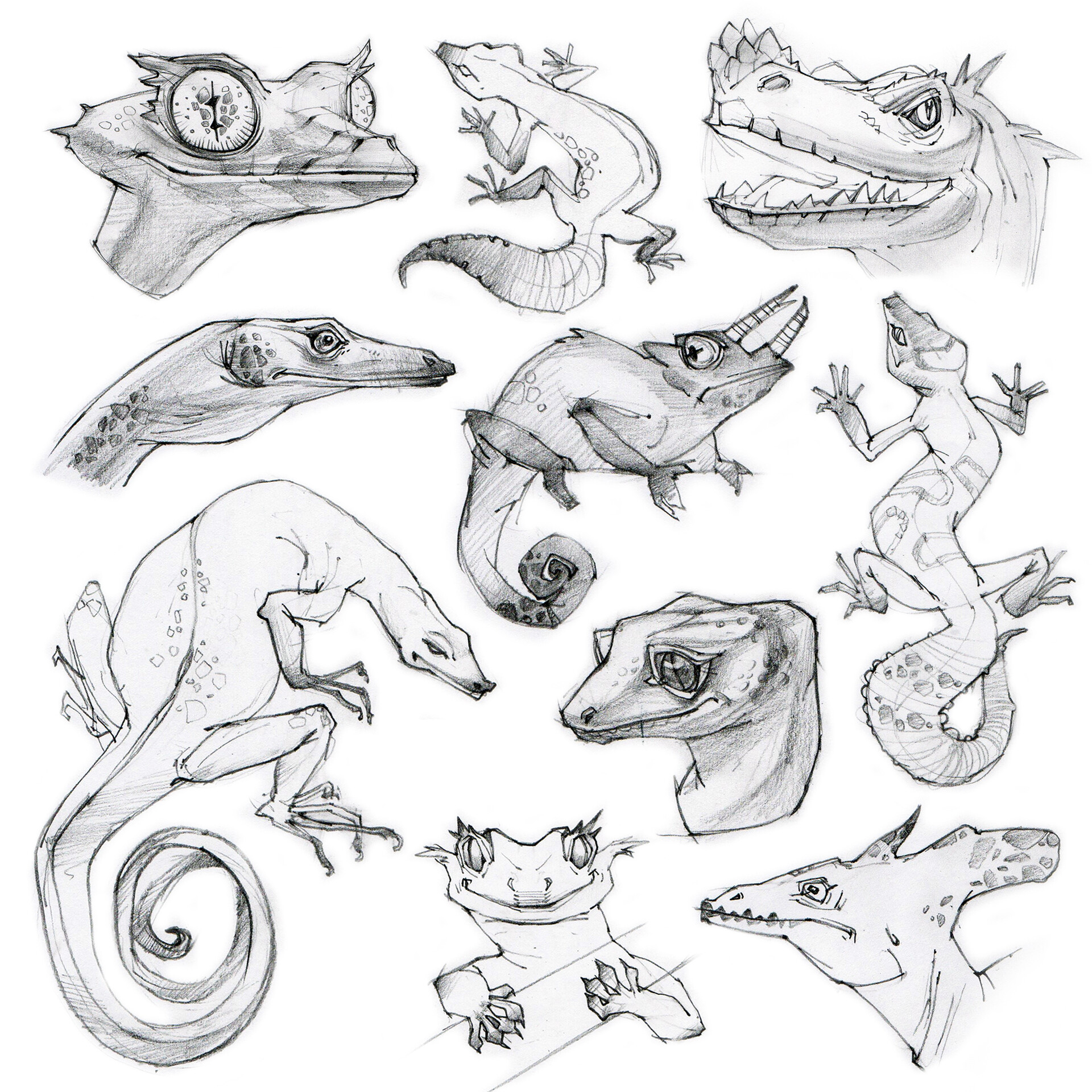 ArtStation - Lizard pencil drawing