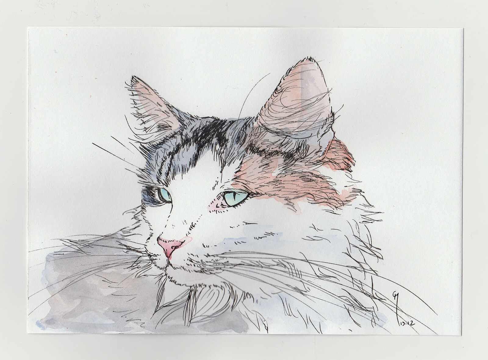 Cats' Portraits