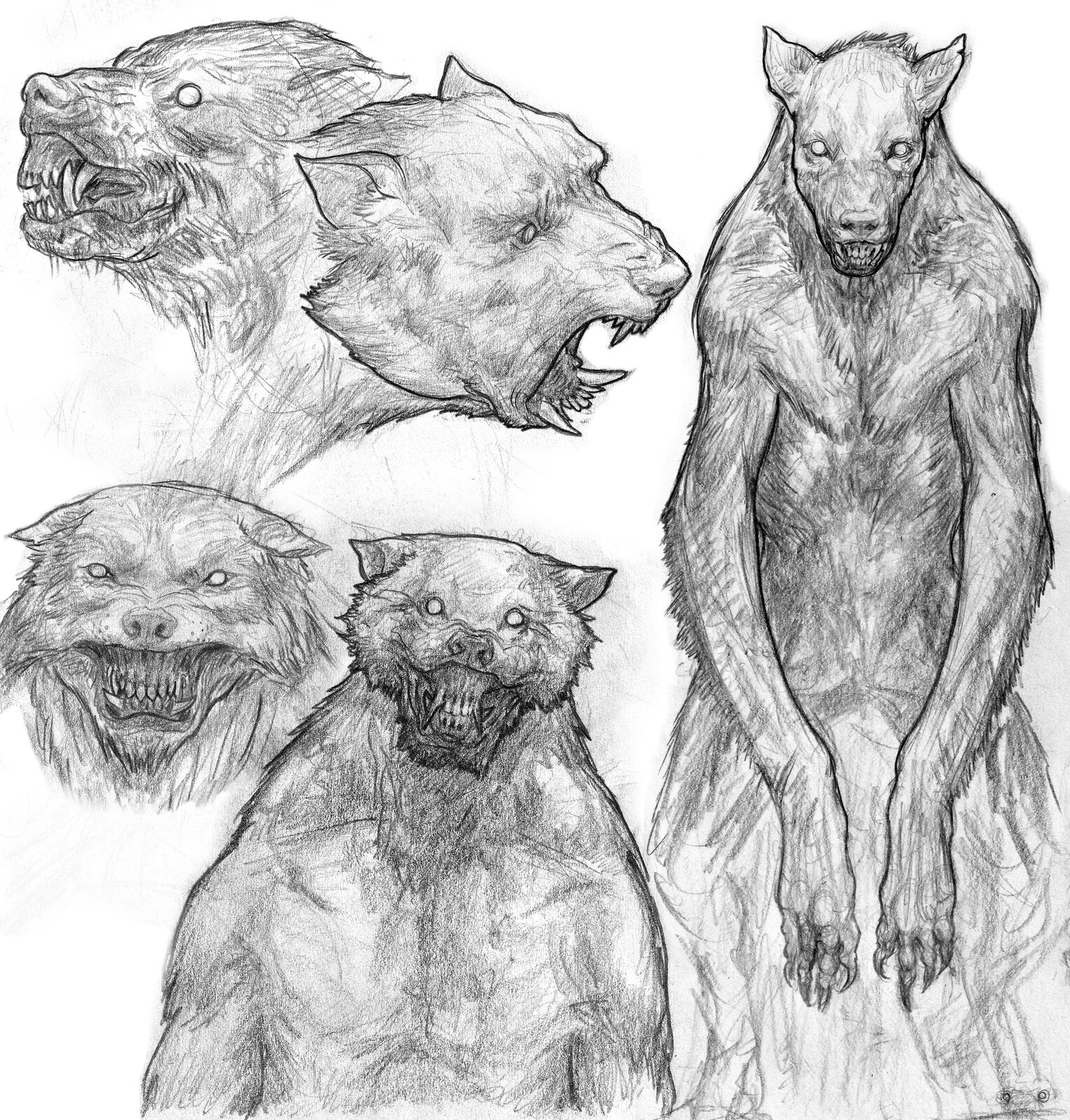 Werewolf