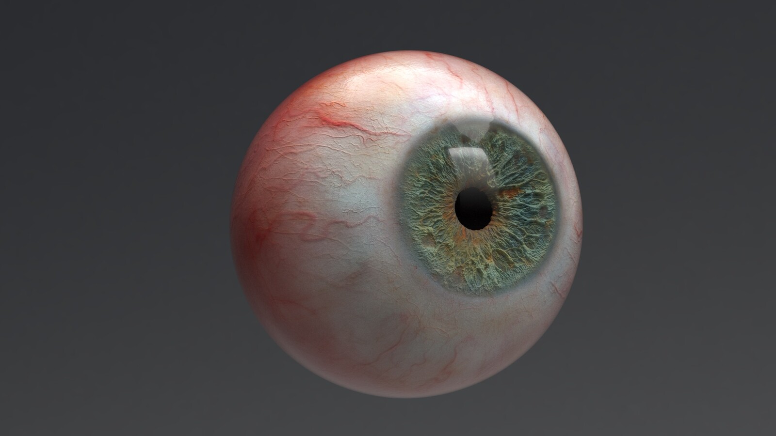Look development of photorealistic eyes for the character.