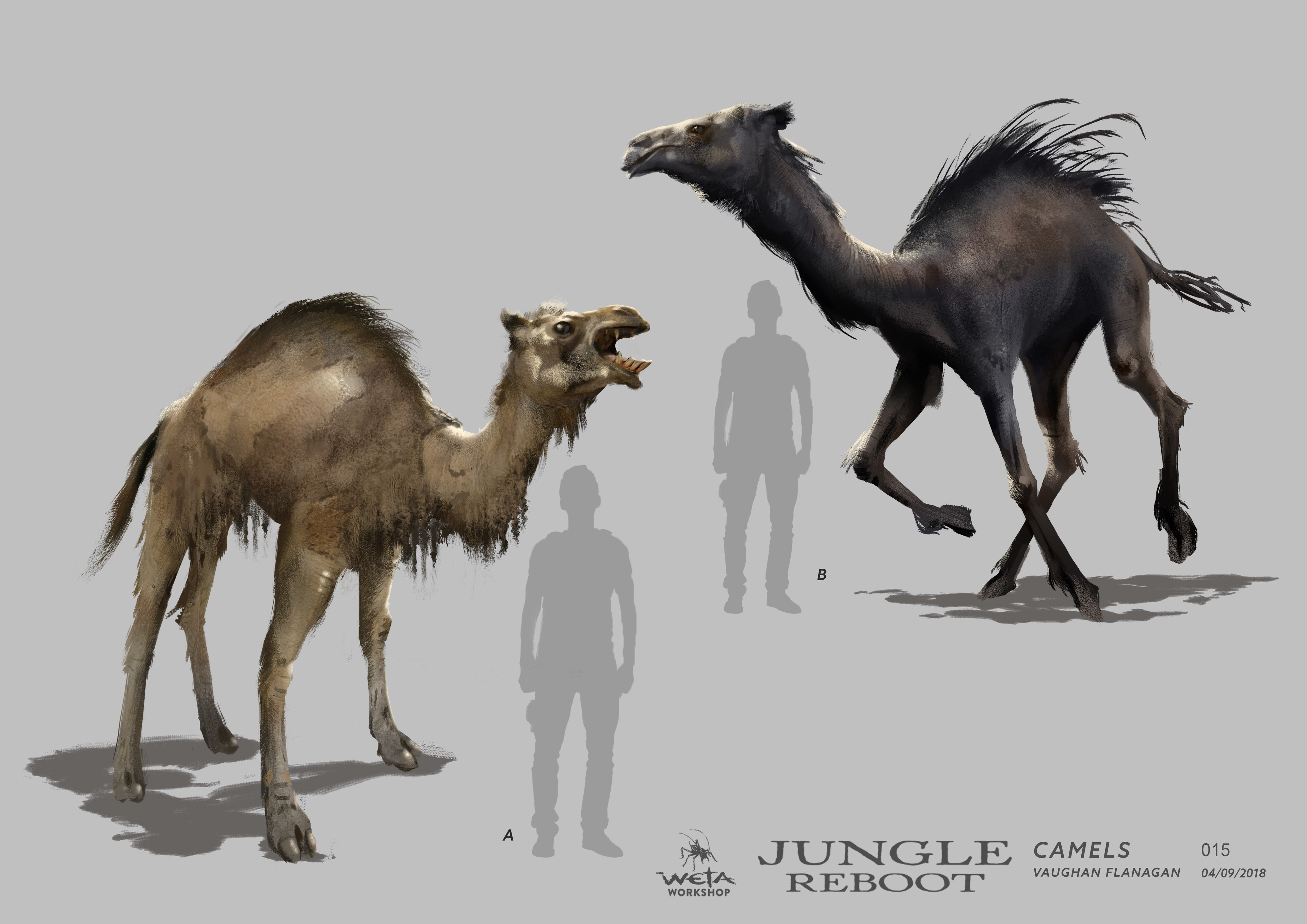 Camel Design - Artist: Vaughan Flanagan