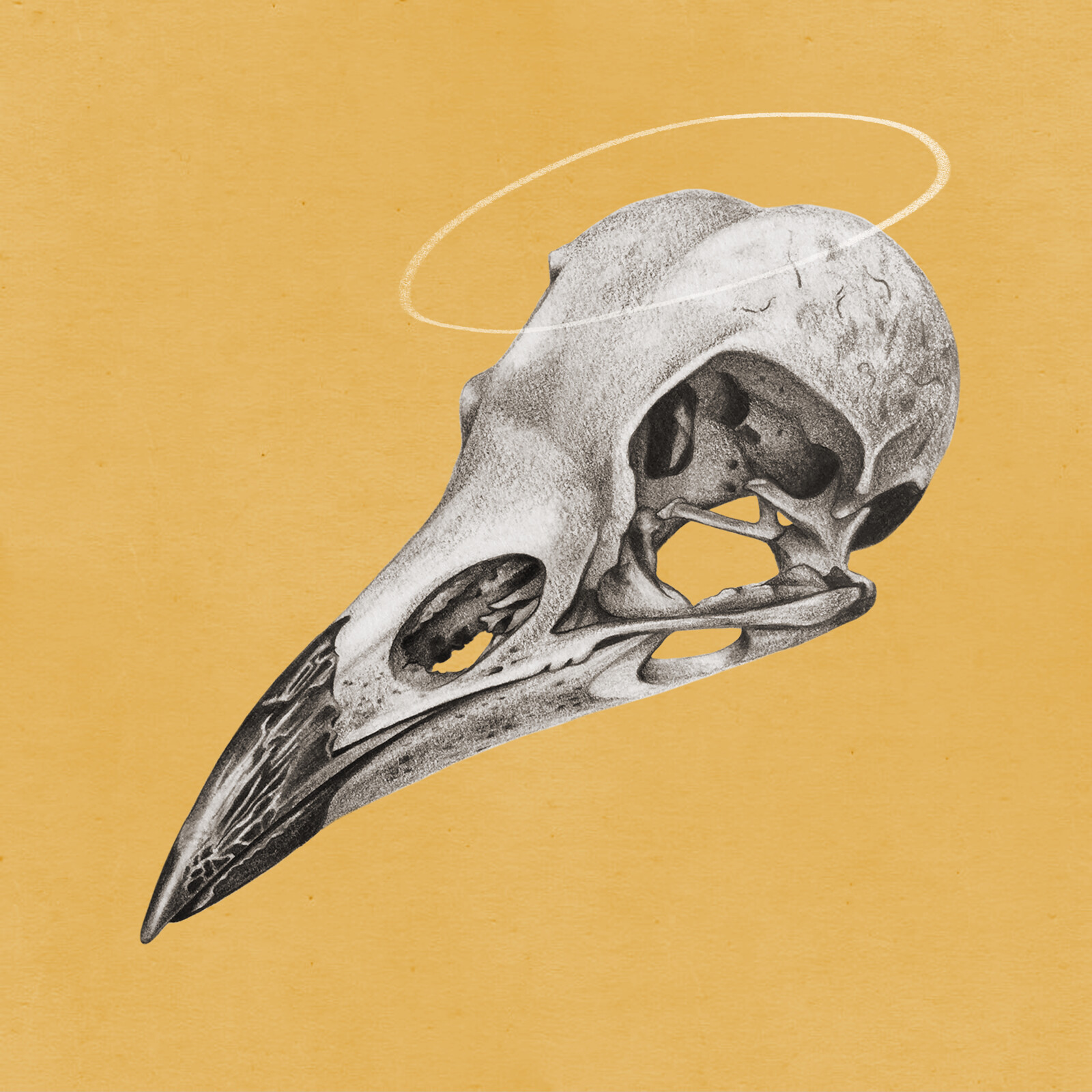 ArtStation Crow Skull
