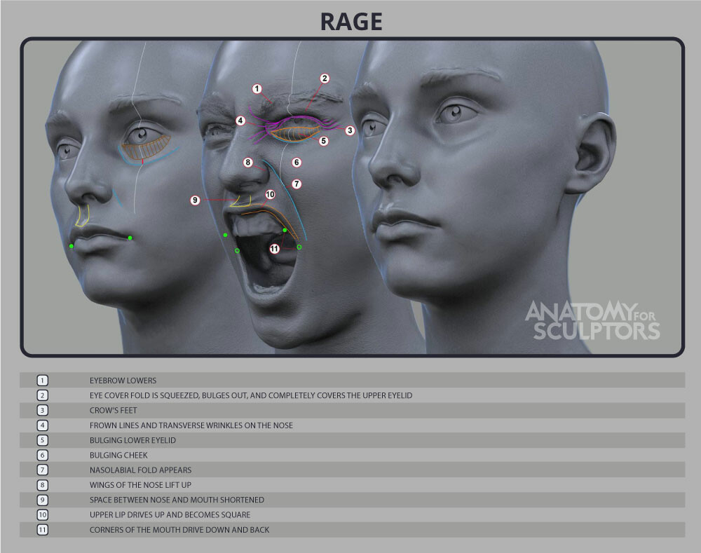 Rage Forms