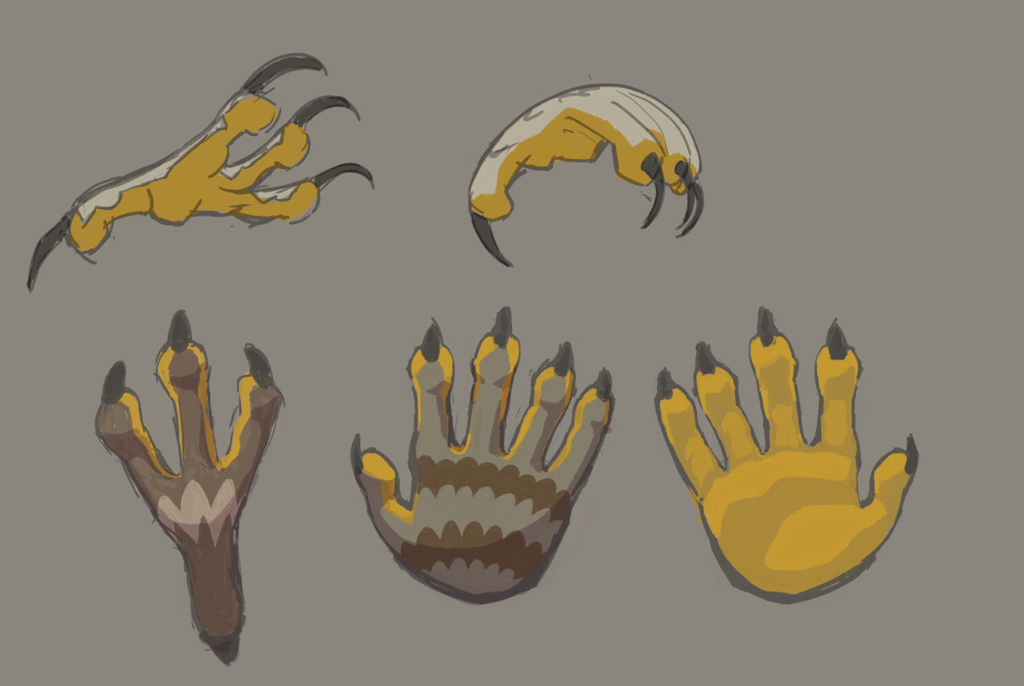 Deciding between zygodactl hands or human ones for VR player. 