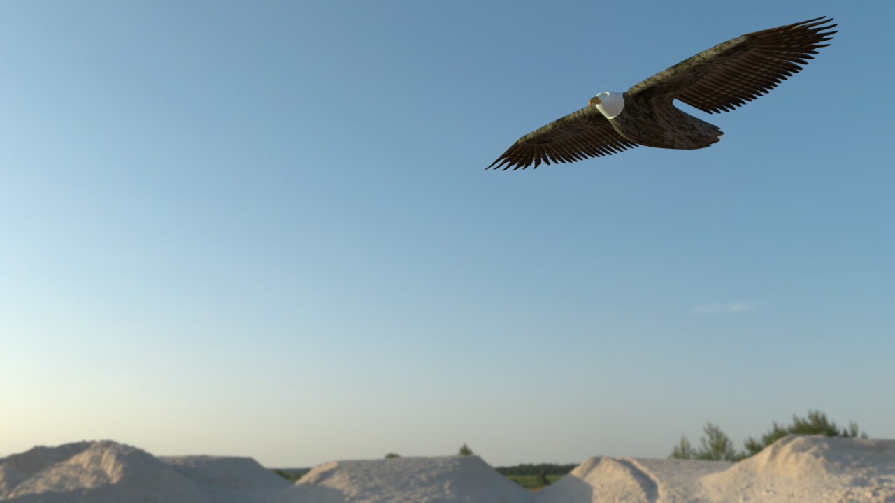 Eagle WIP