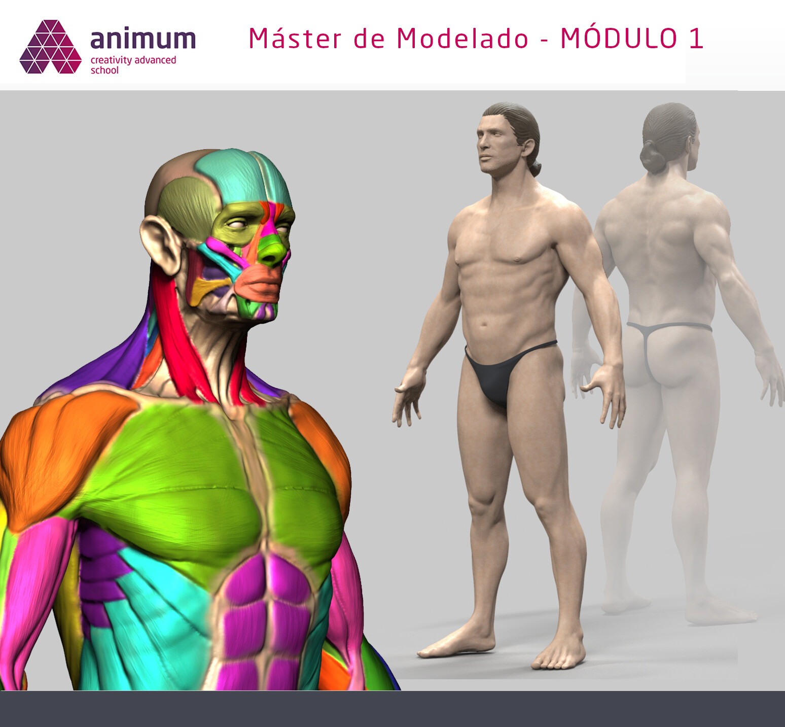 Artstation Module 1 3d Model Animum Fernando Solano Caballero