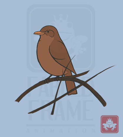 Female Blackbird Animation
