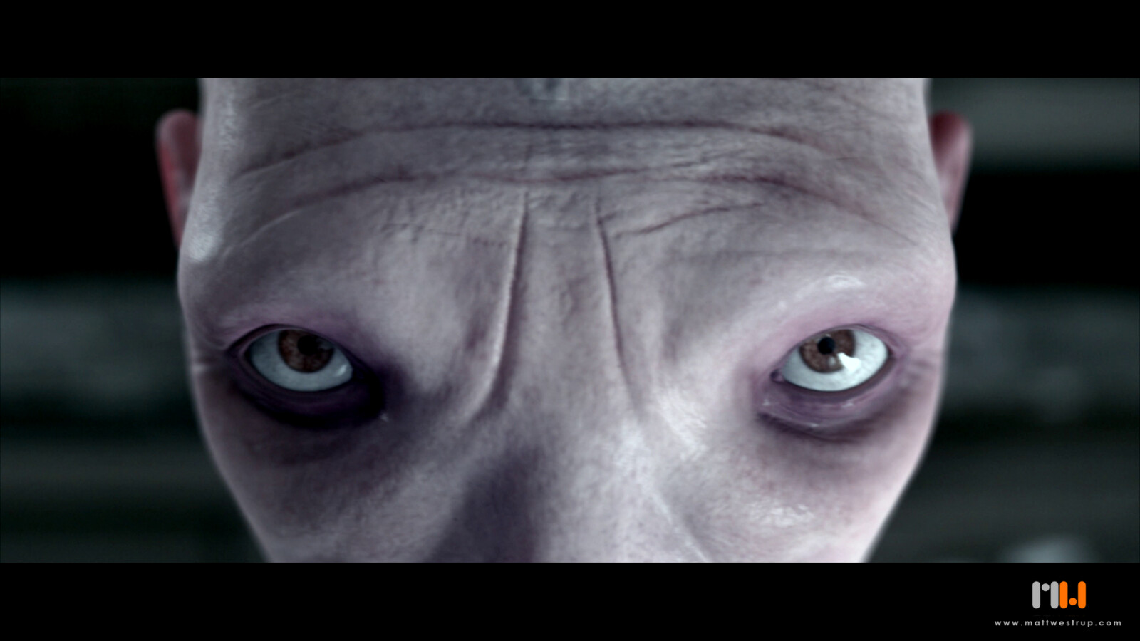 Final Shot - Role: All VFX.