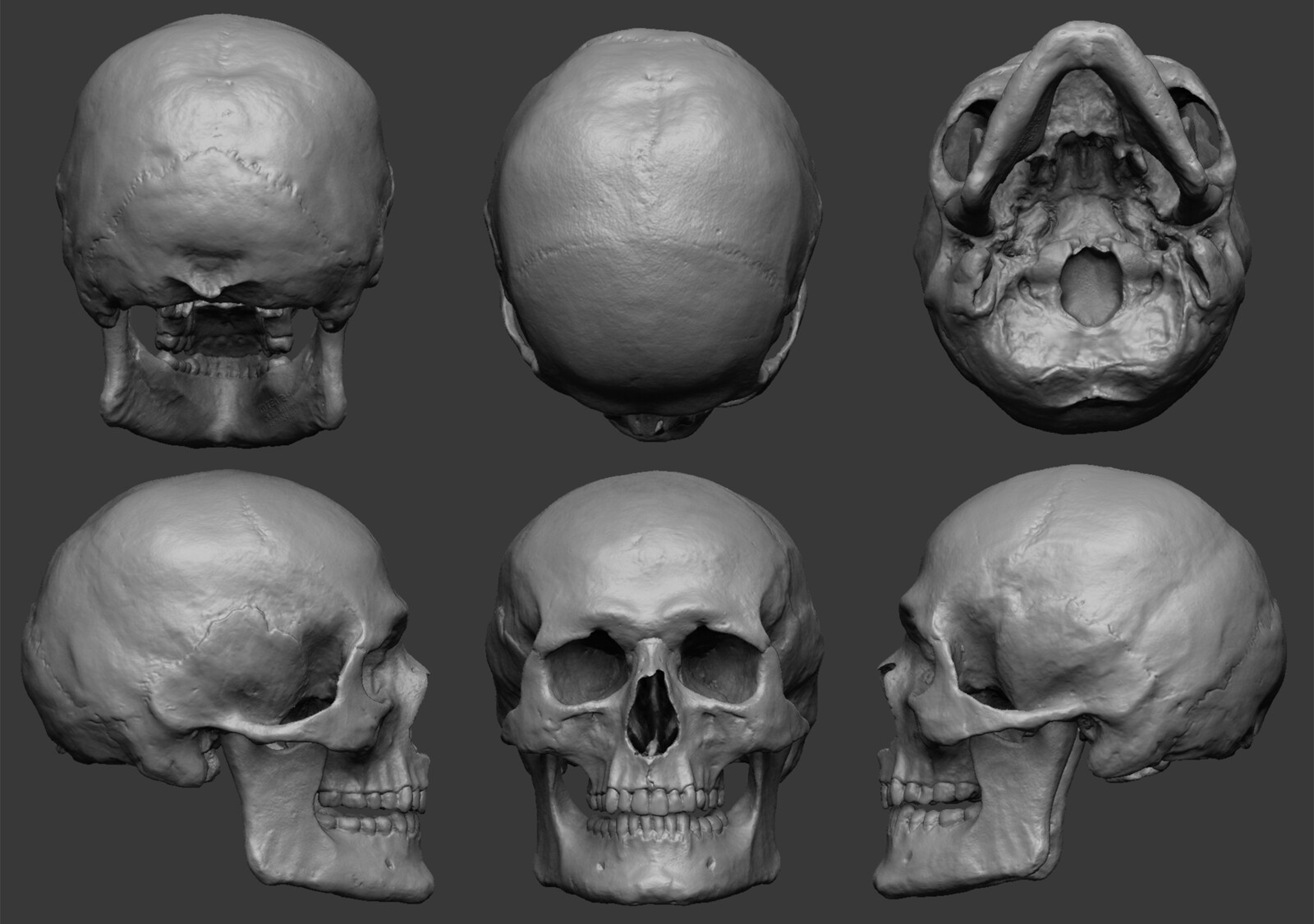 Reference Images provided from a 3D Scan