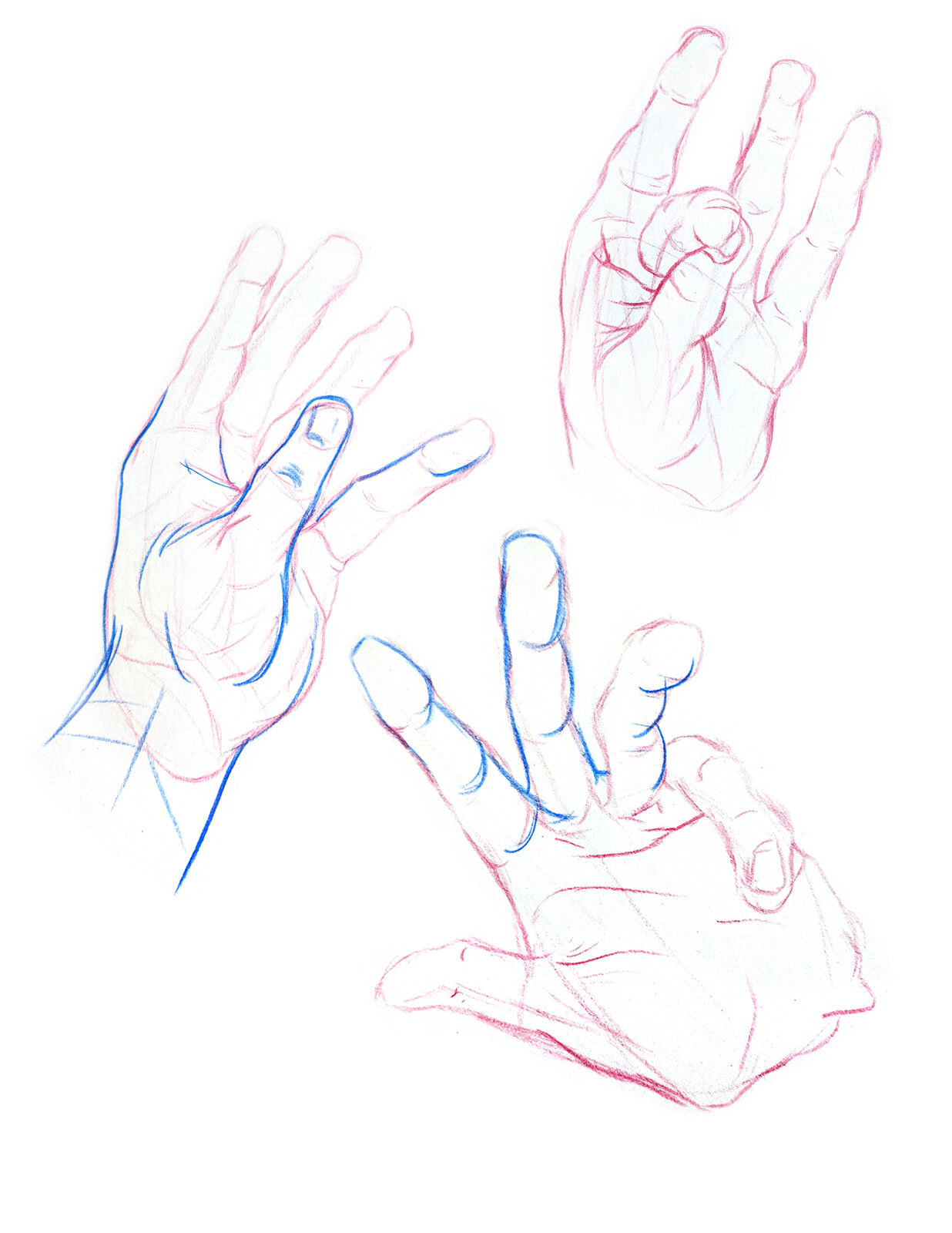 Hand Studies