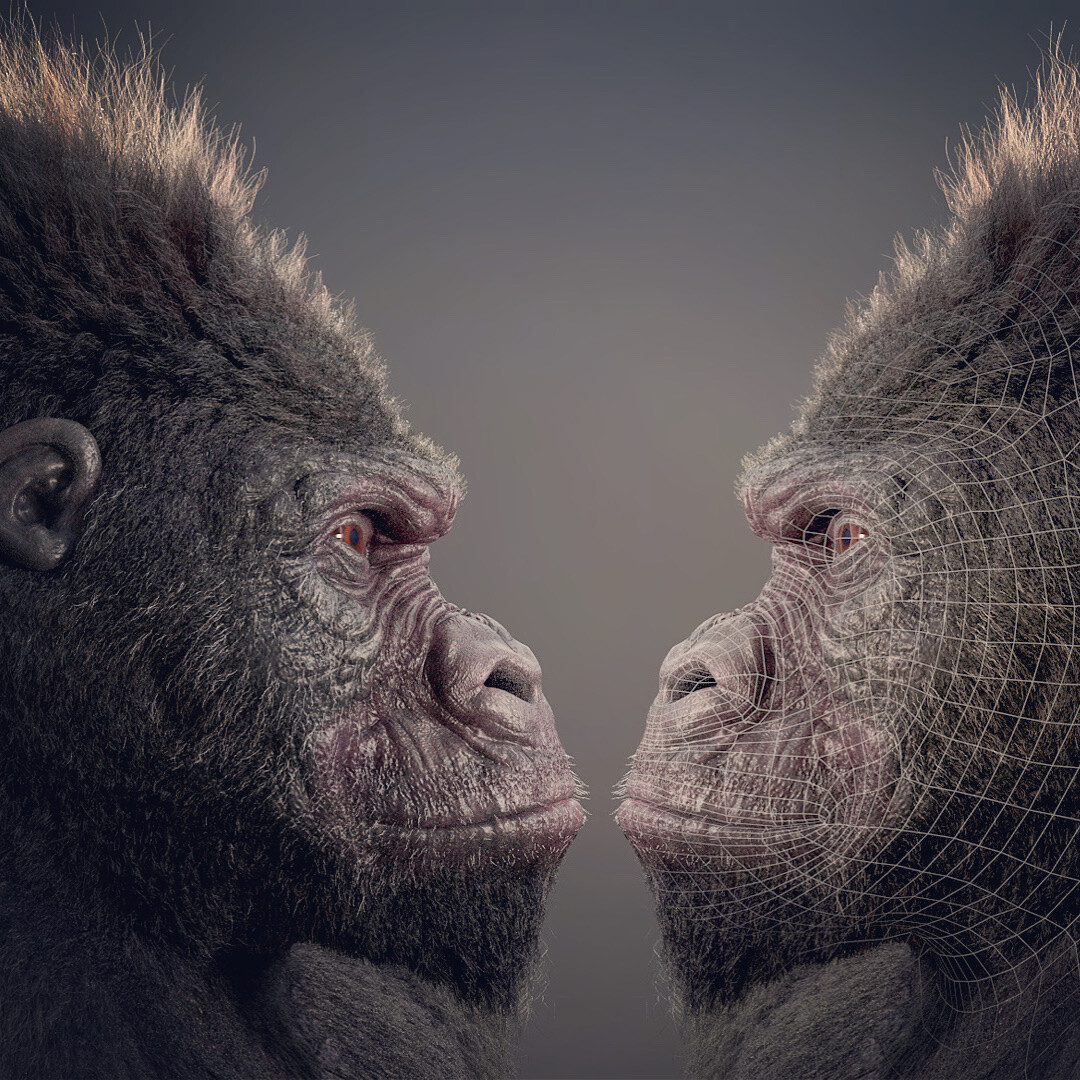 Gorilla head