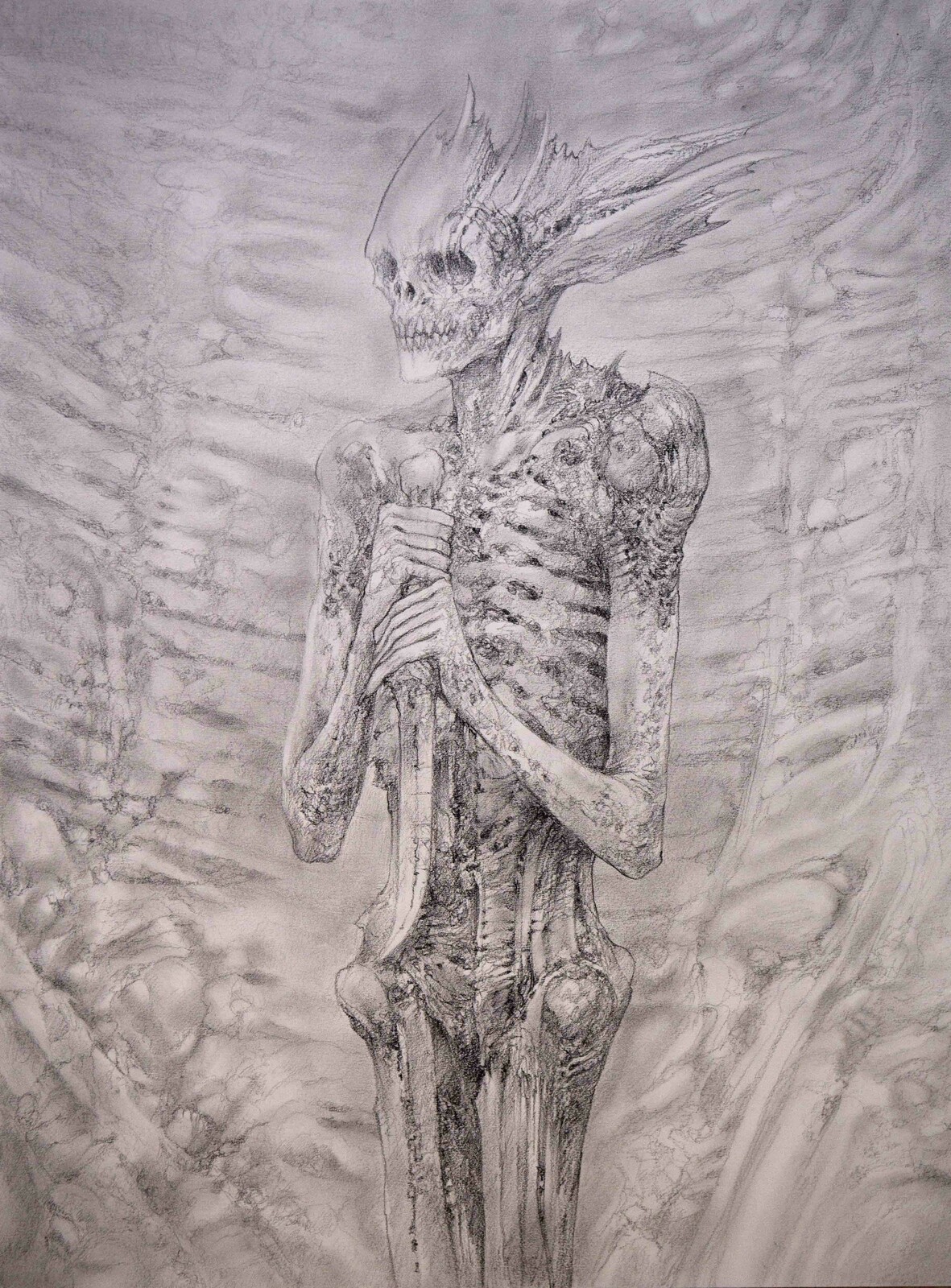 Body14