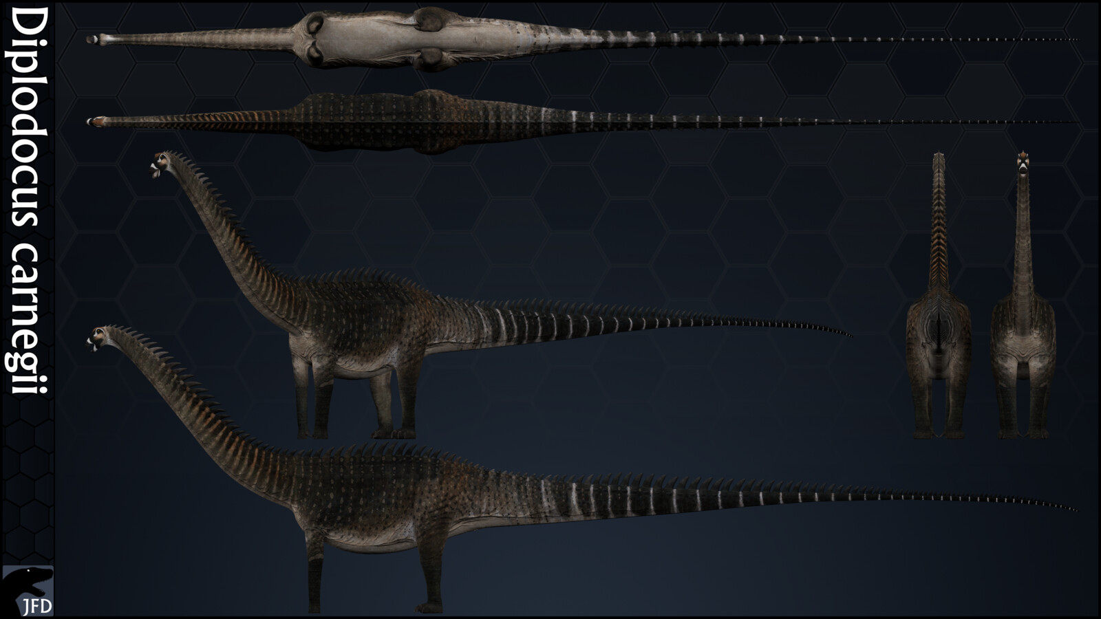 Diplodocus carnegii orthographic multi-view render.
