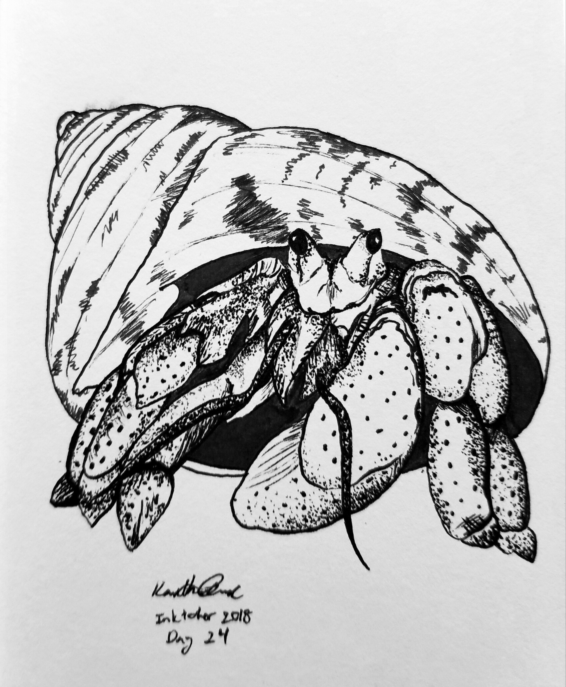 ArtStation Hermit Crab