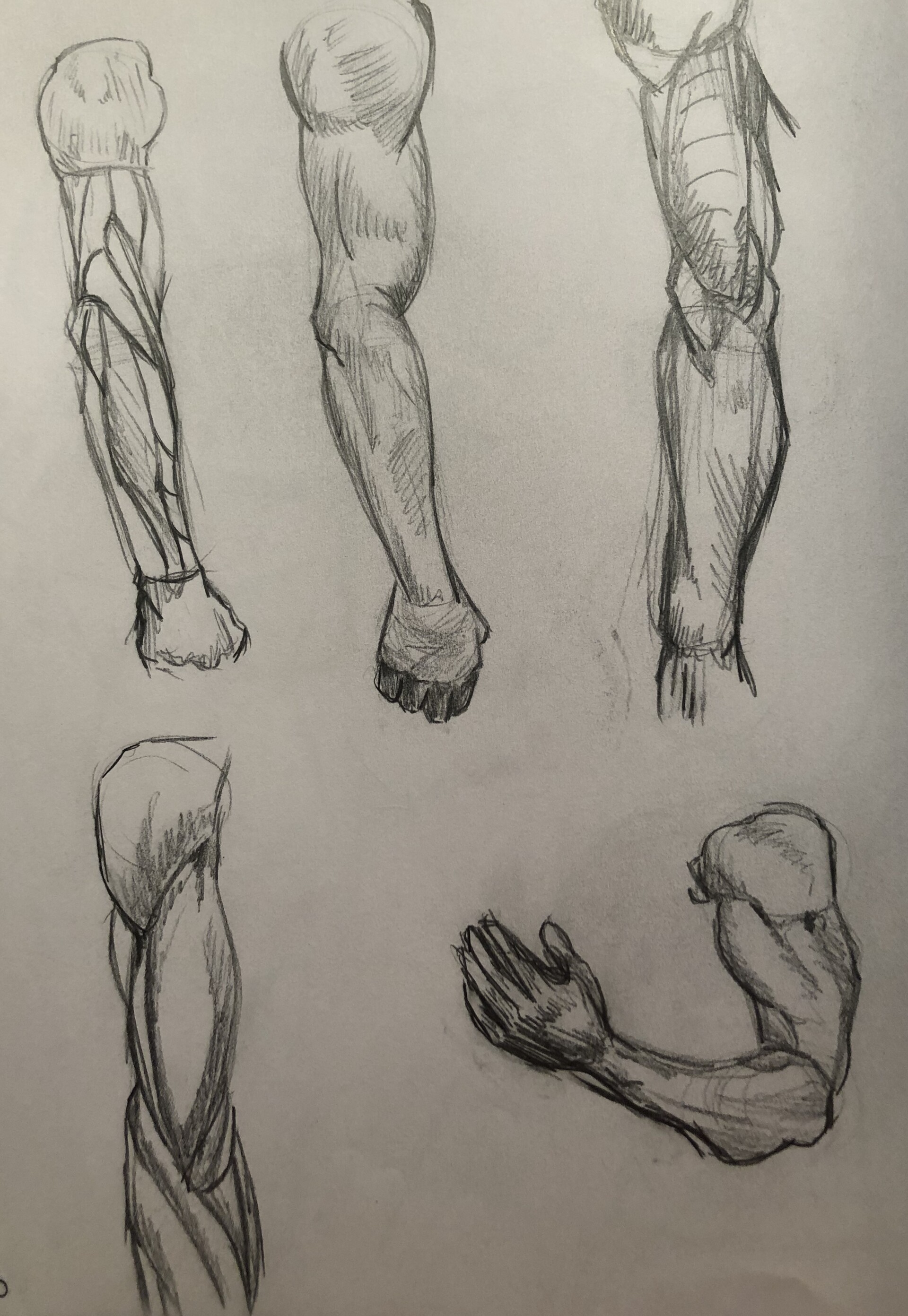Victoria Anderson Arms And Hands Human figure drawing reference drawing art people person. victoria anderson